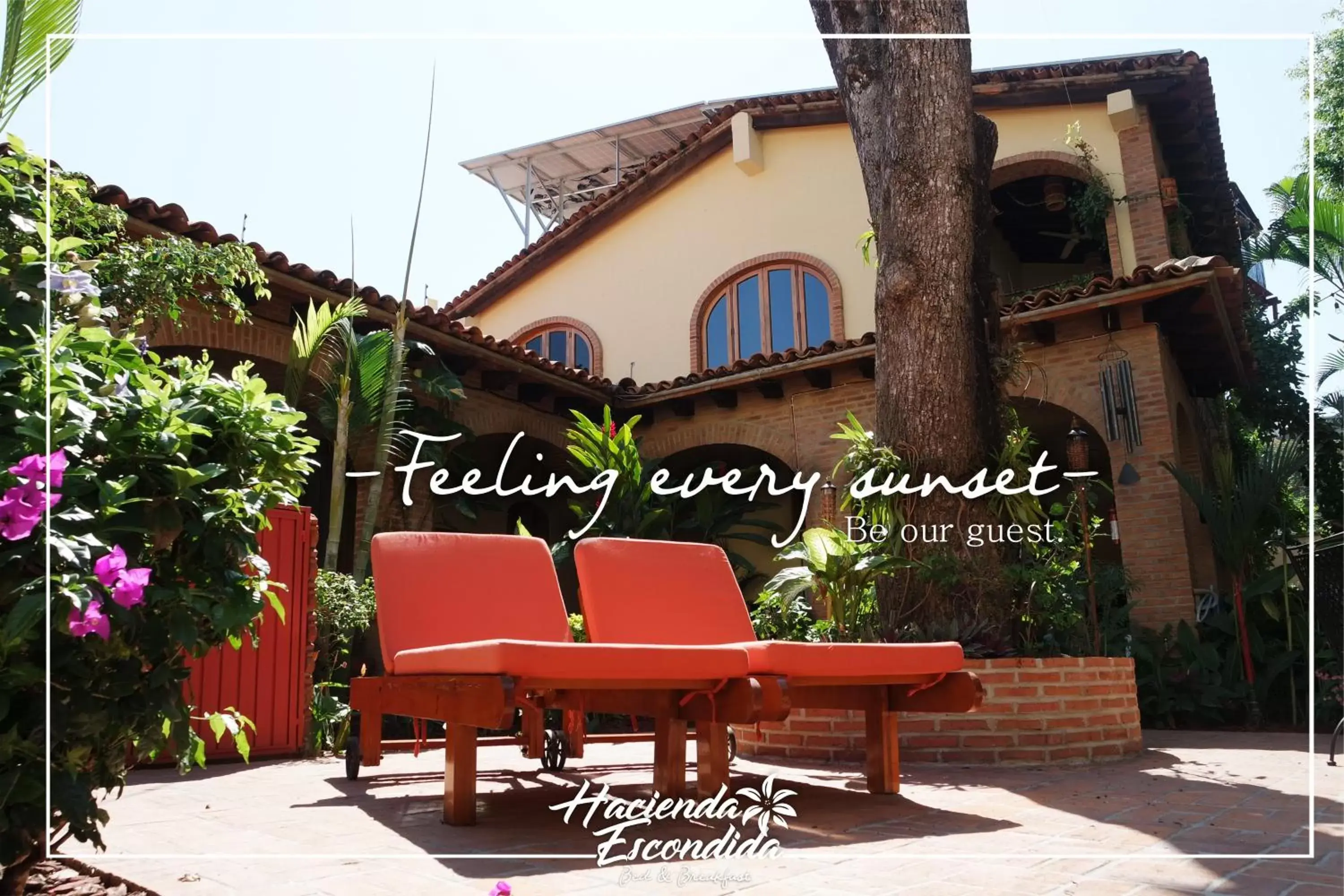 Garden, Property Building in Hacienda Escondida Puerto Vallarta