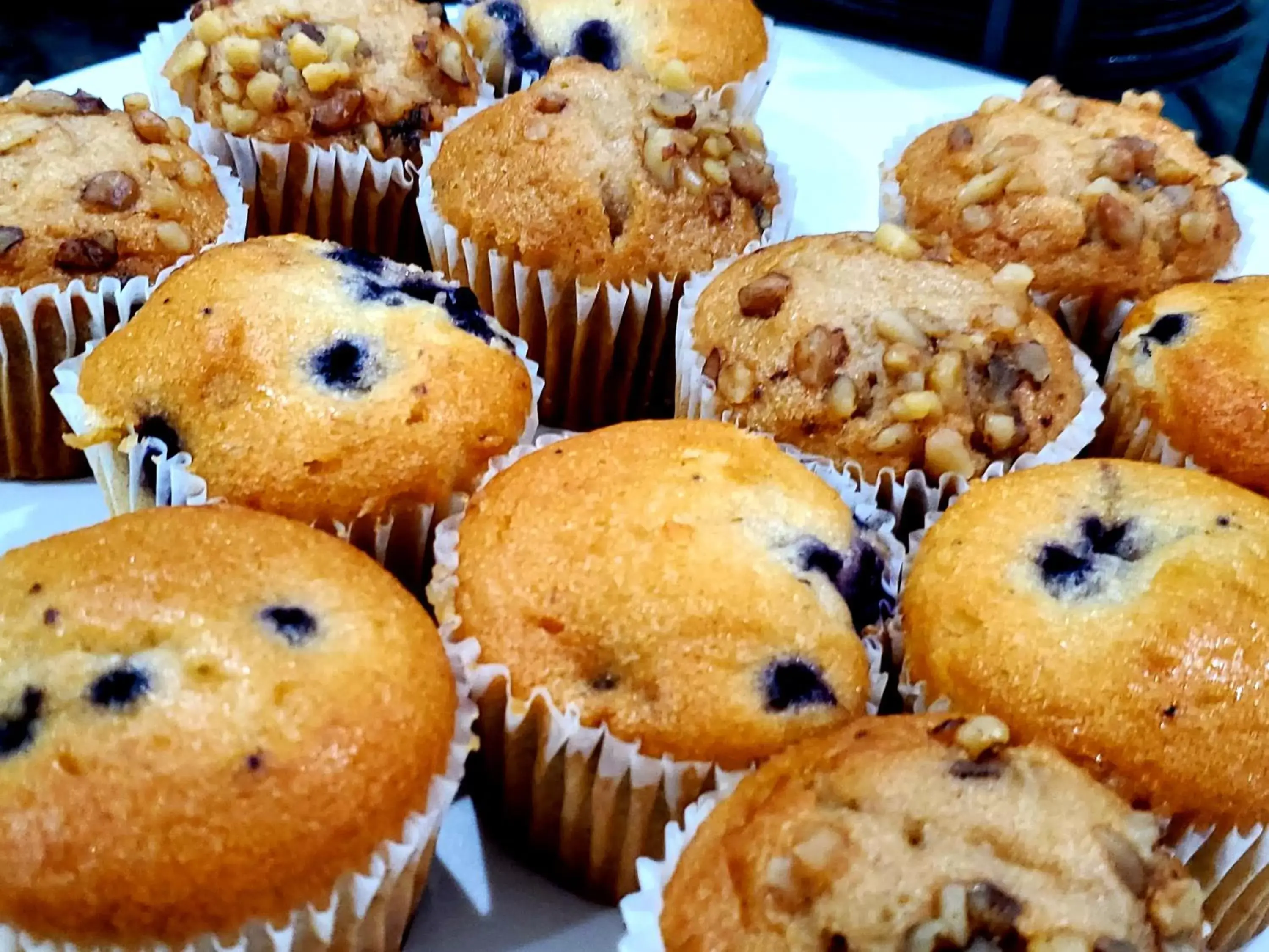 Breakfast in Vero Beach Inn & Suites Vero Beach I-95 Breakfast in Vero Beach Inn & Suites Vero Beach I-95