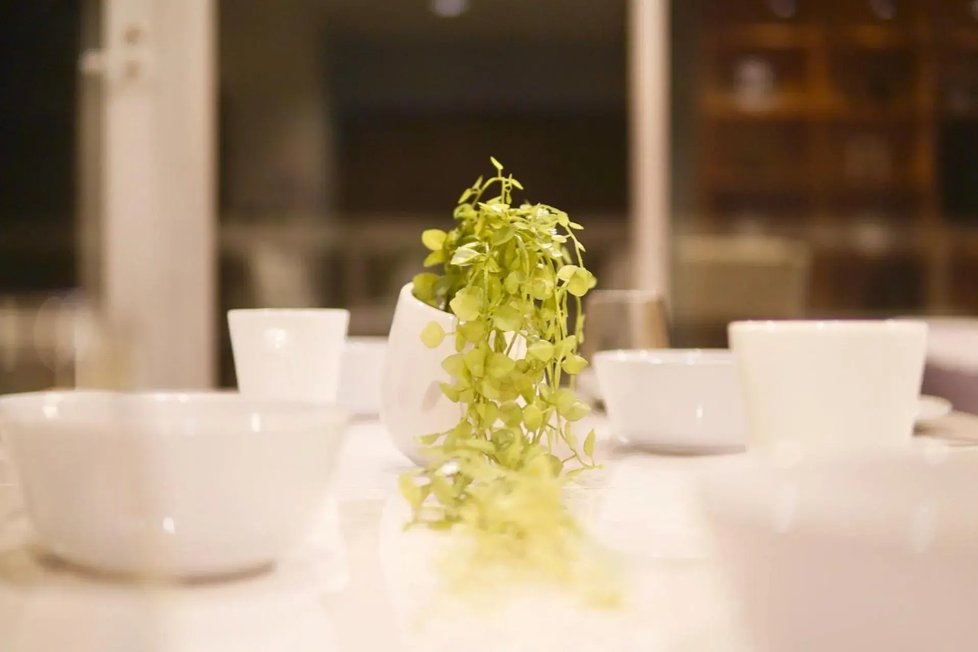 Dining area in TAKETO STAY TERRACE ONE