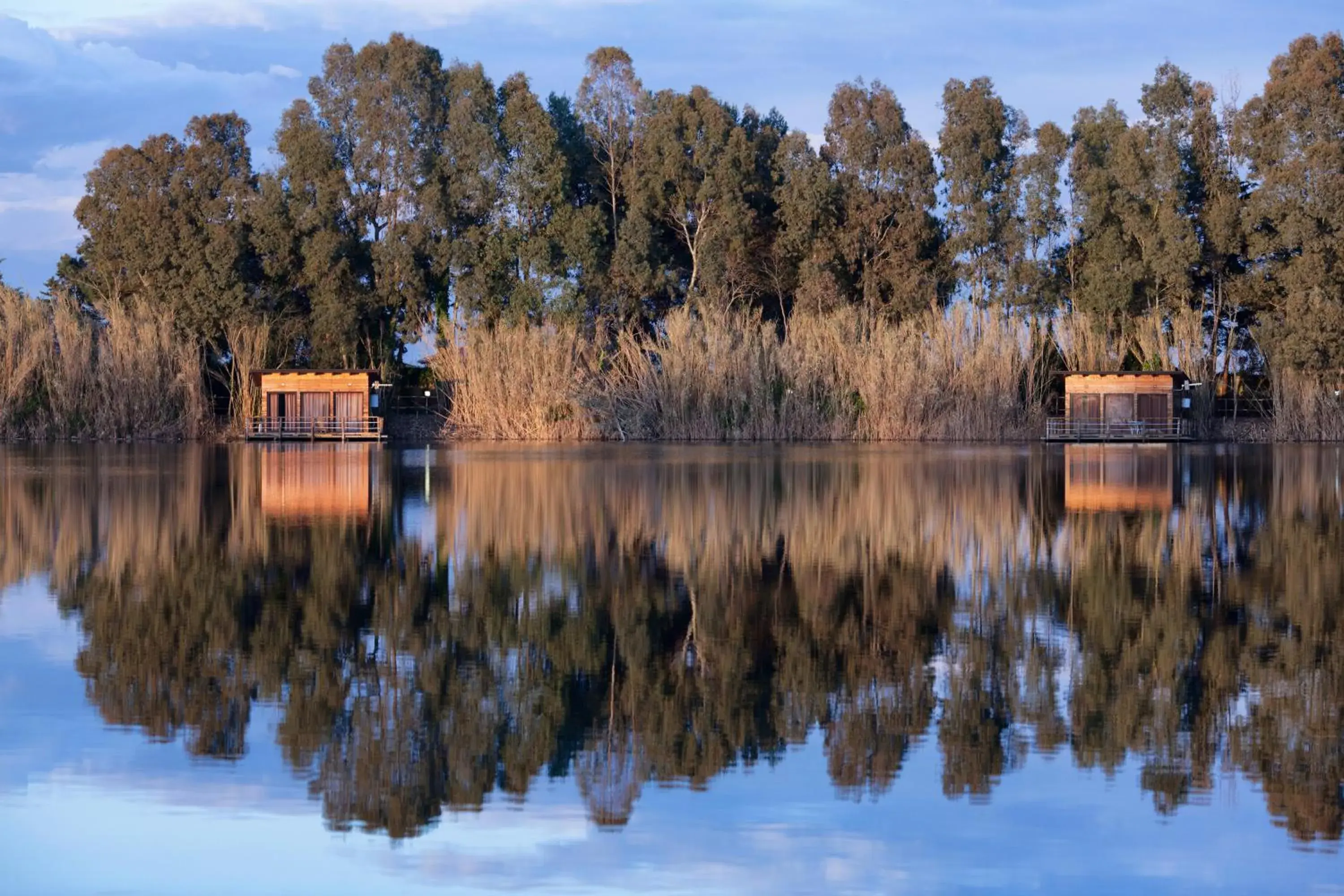 Natural landscape, Winter in Plana Resort & SPA