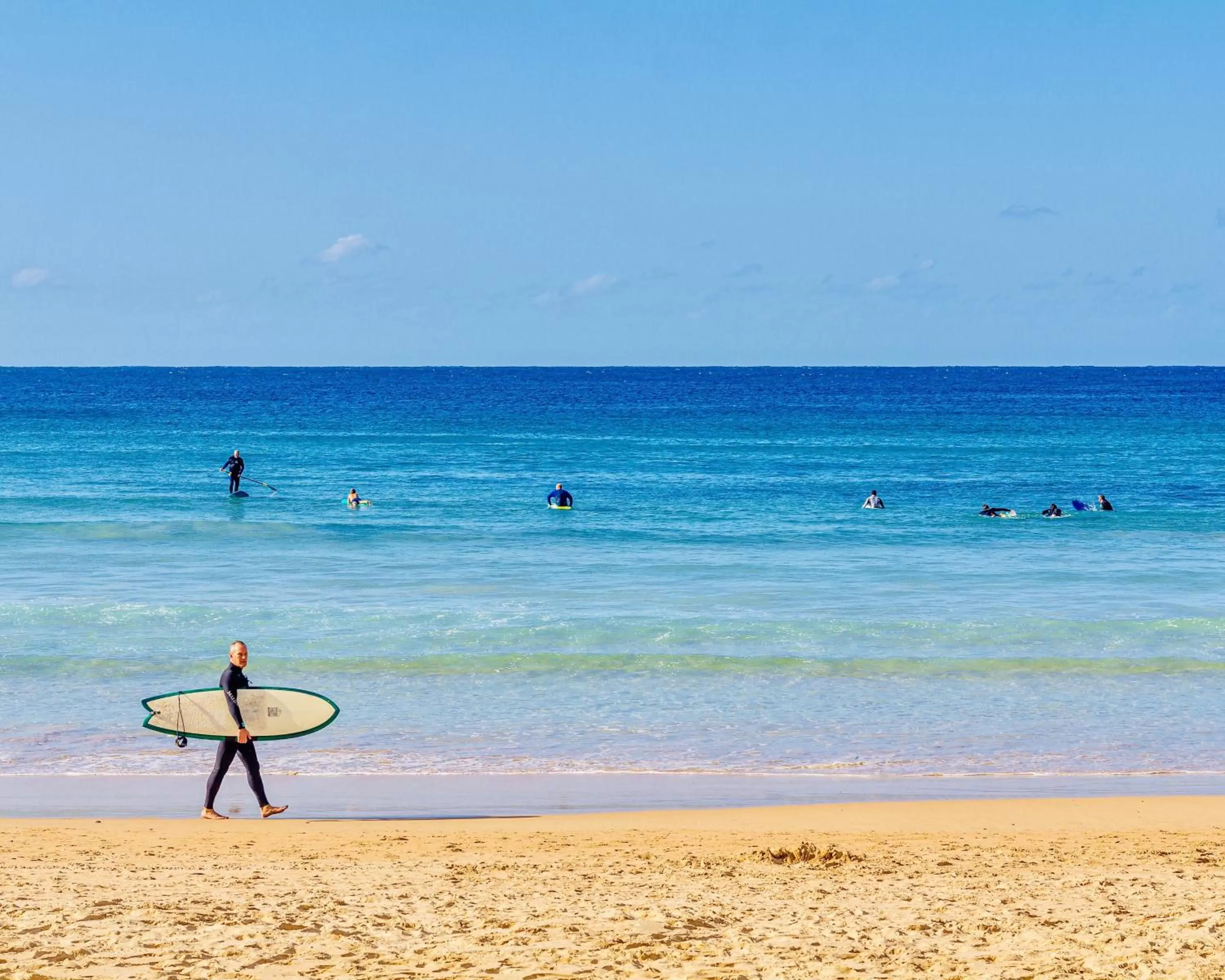 Natural landscape, Beach in Quest Manly