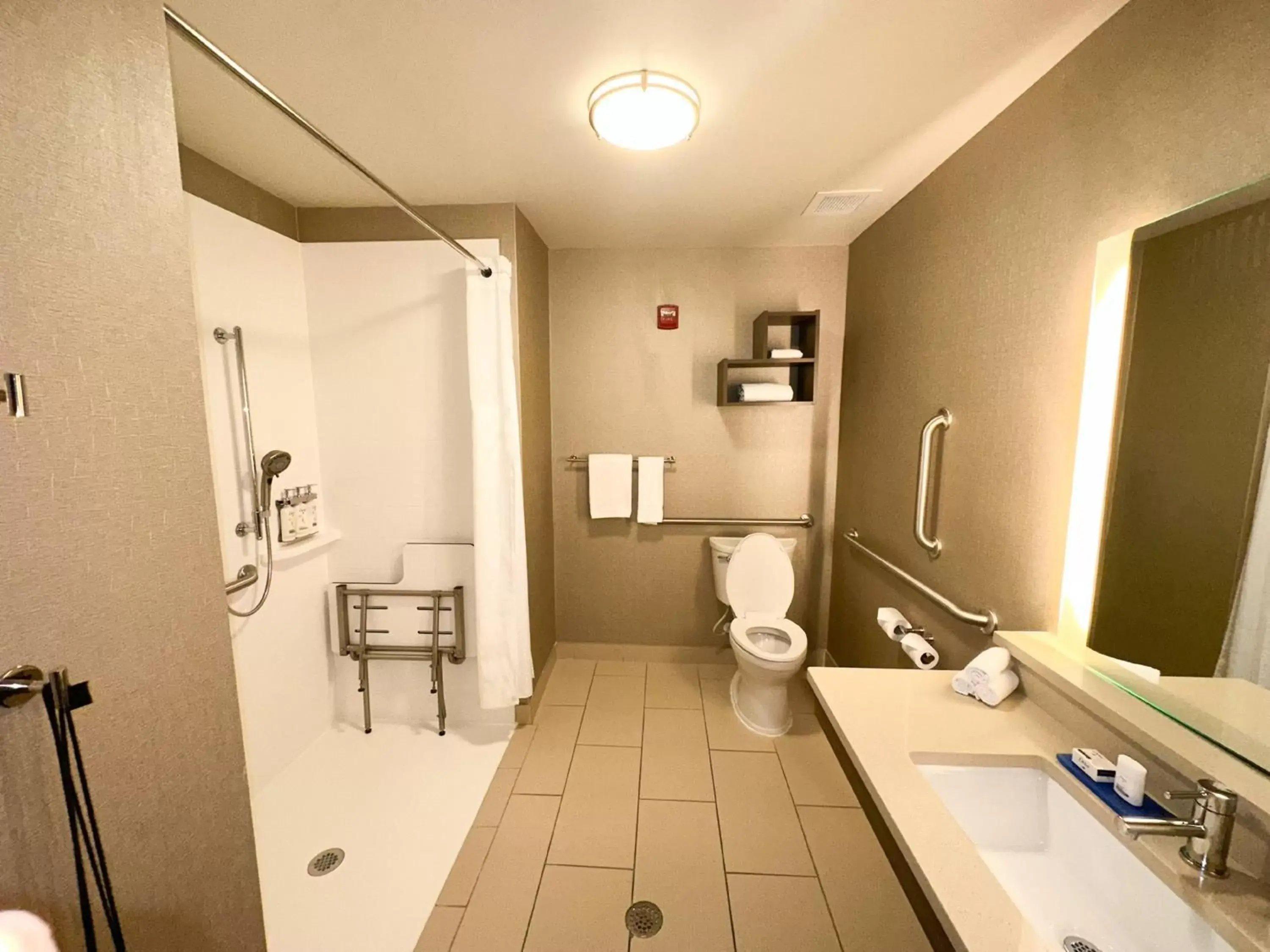 Bathroom in Holiday Inn Express & Suites Plymouth - Ann Arbor Area, an IHG Hotel