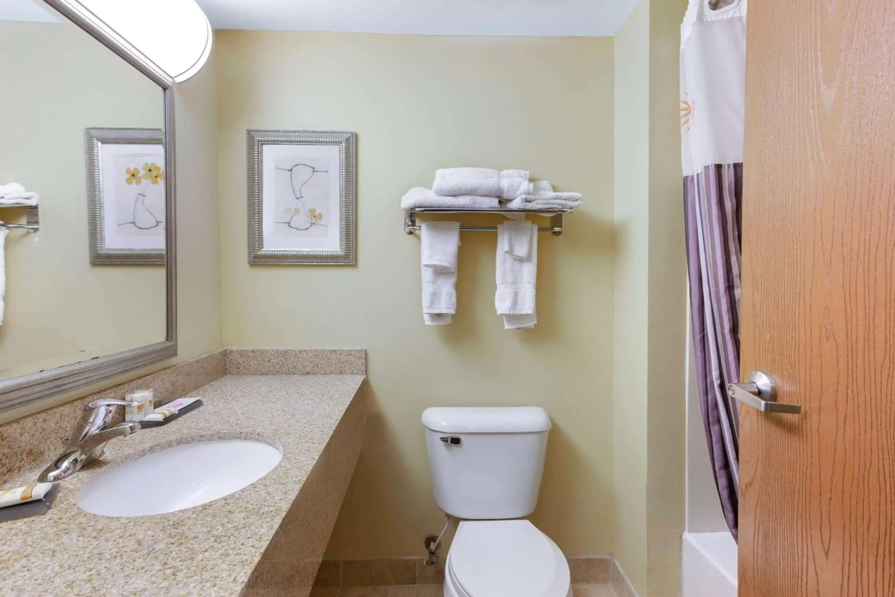 TV and multimedia, Bathroom in La Quinta by Wyndham Richmond - Kings Dominion
