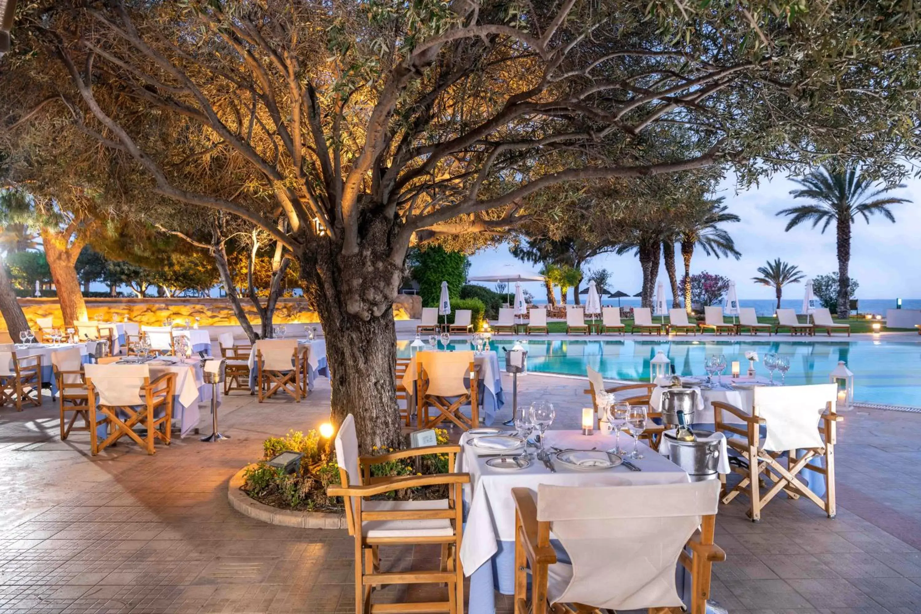 Restaurant/Places to Eat in Constantinou Bros Athena Royal Beach Hotel