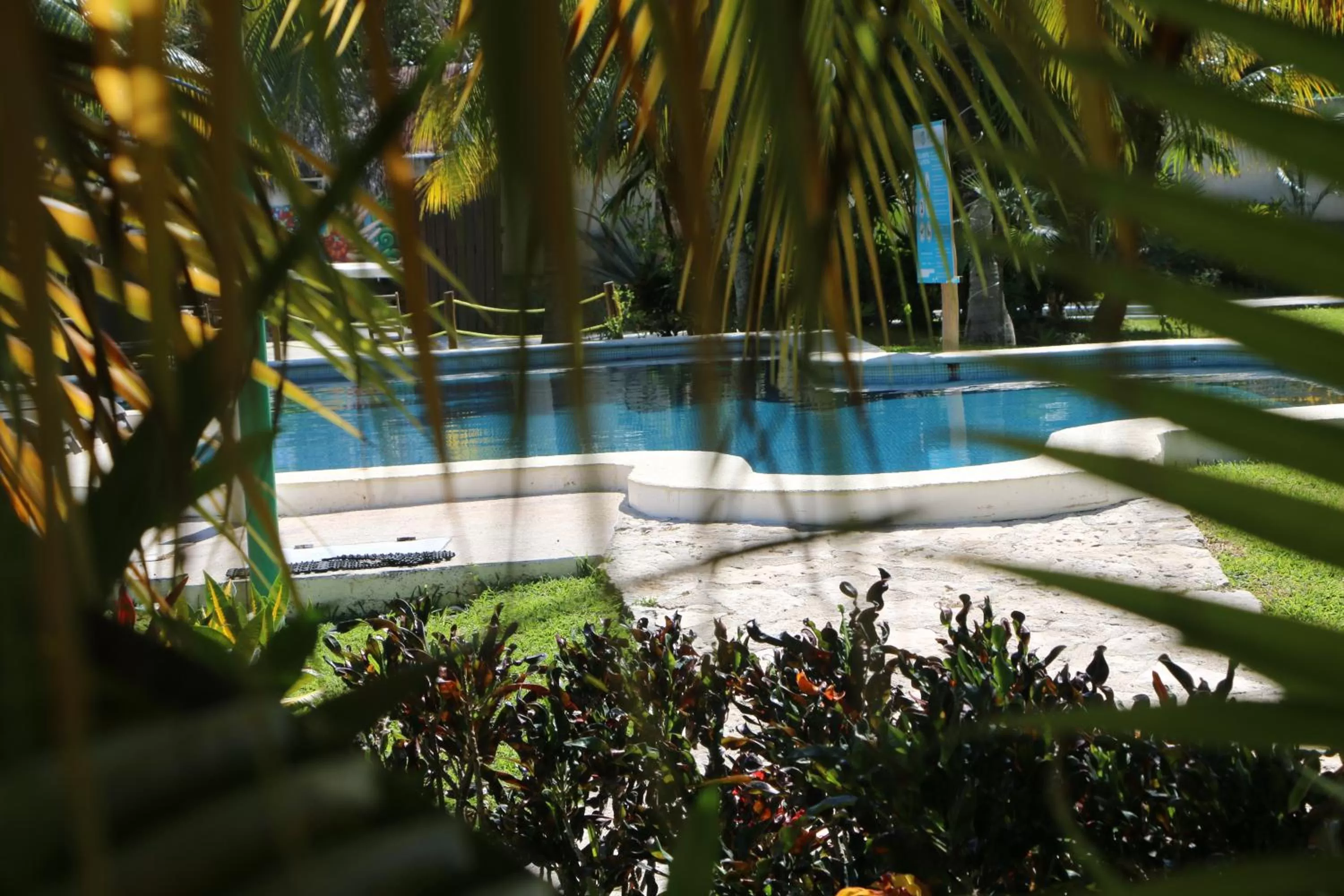 People, Swimming Pool in WishTulum
