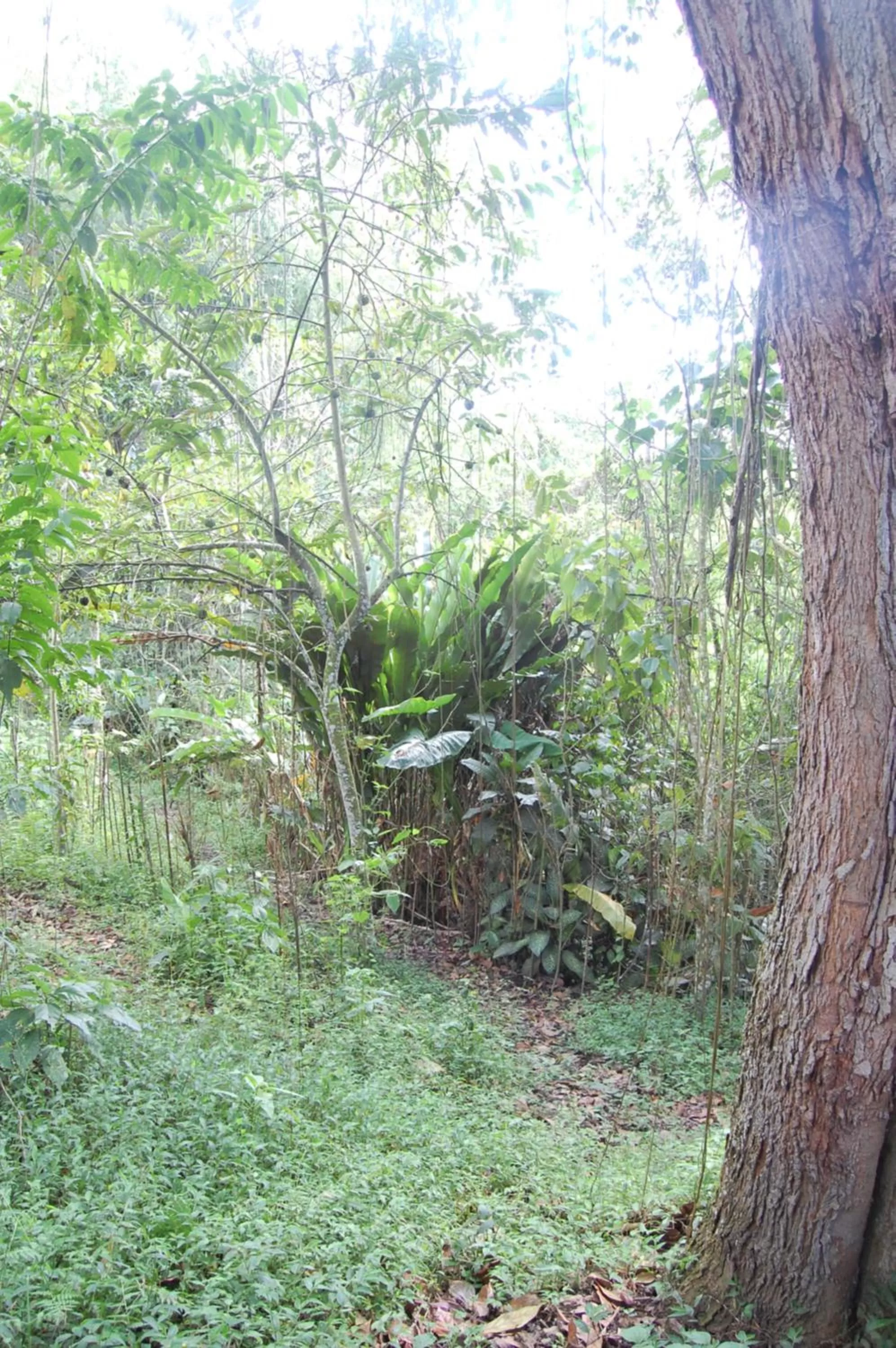 Natural landscape in Ecohotel Alma