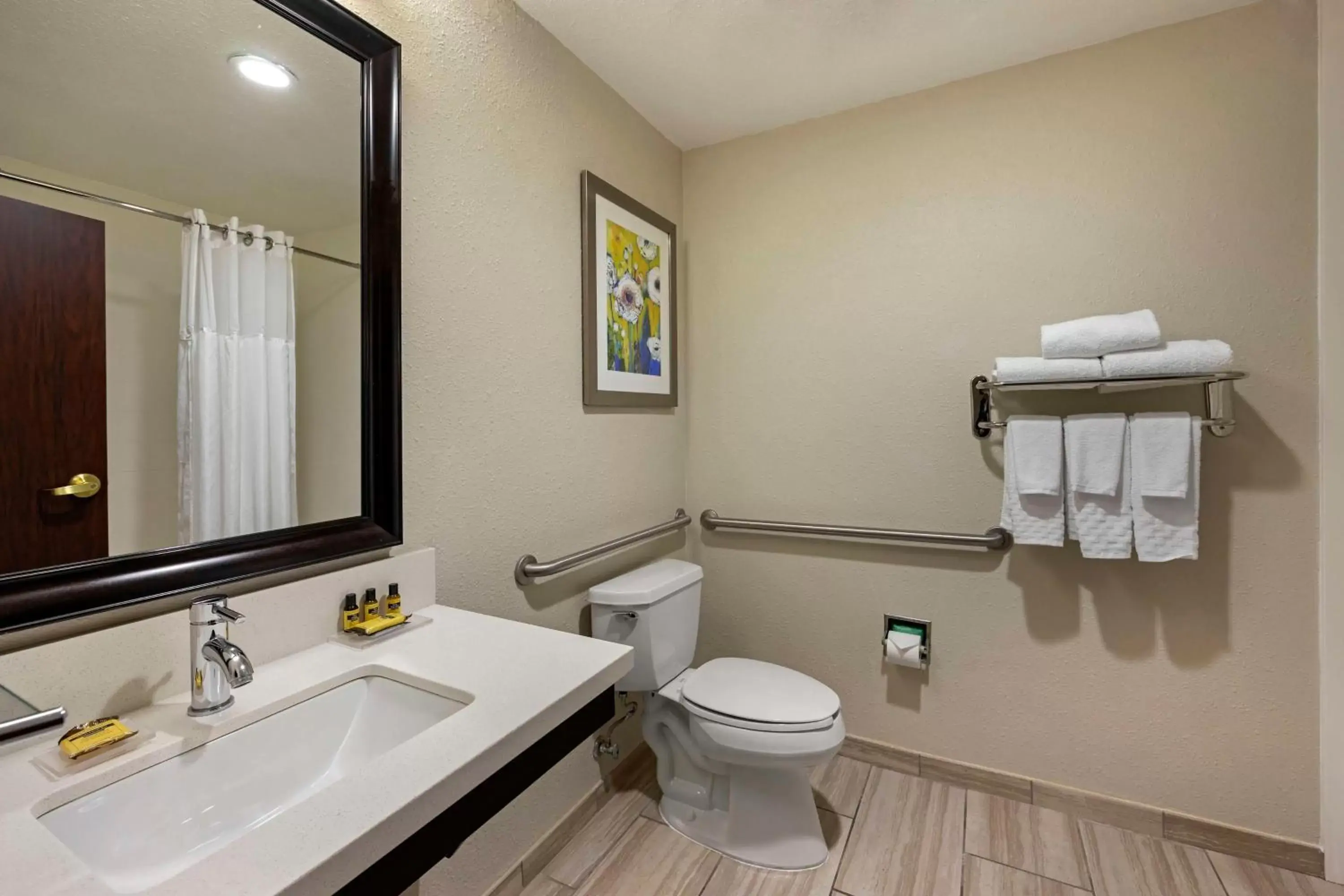 Bathroom in Best Western Plus Nashville Airport Hotel - BNA