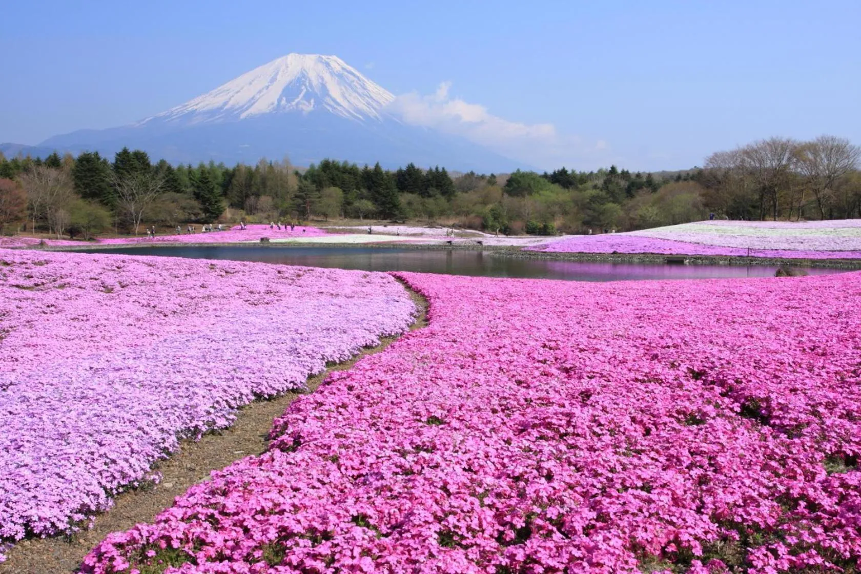 Area and facilities in Manten-no-Hoshi