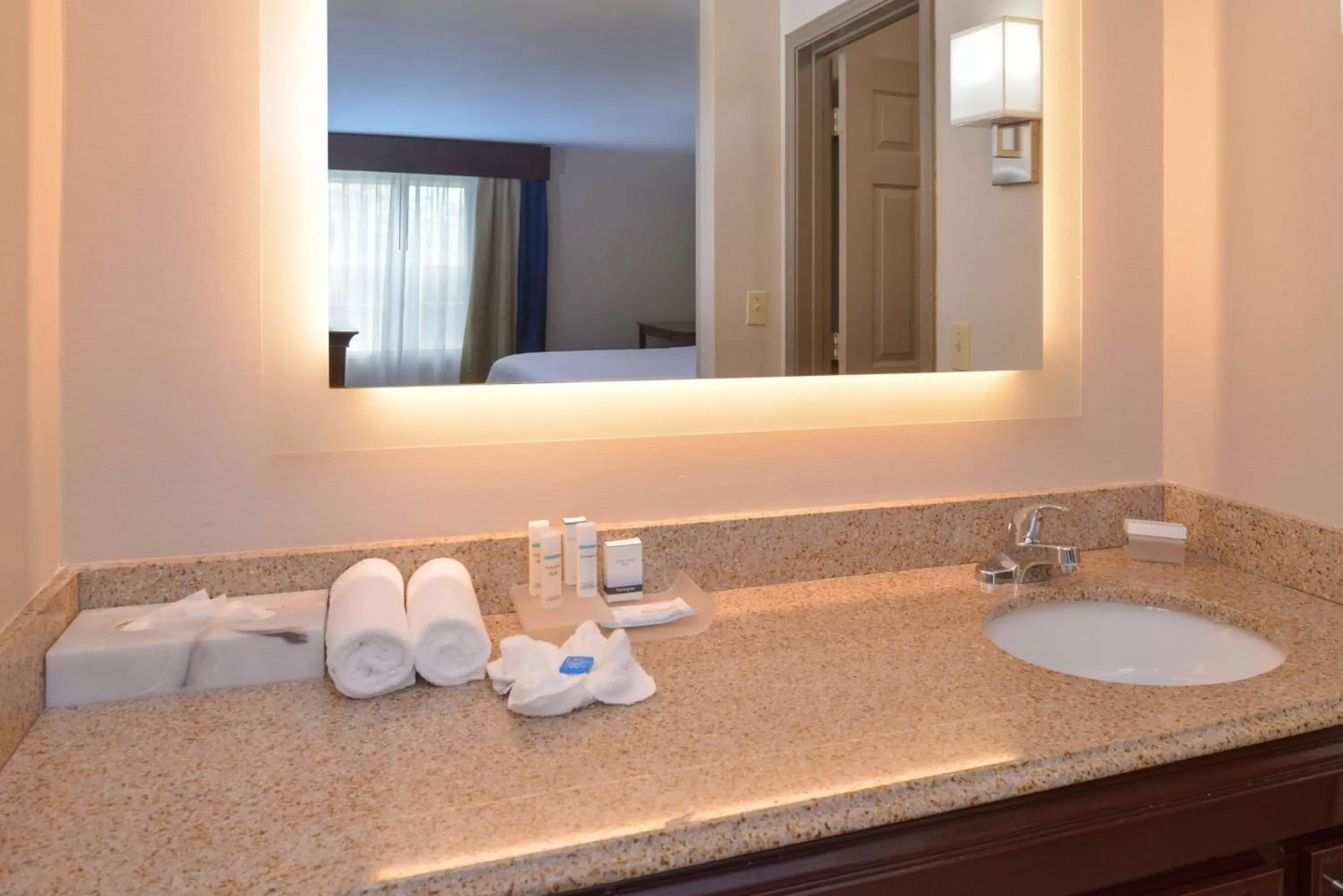 Bathroom in Homewood Suites by Hilton Dallas-Lewisville