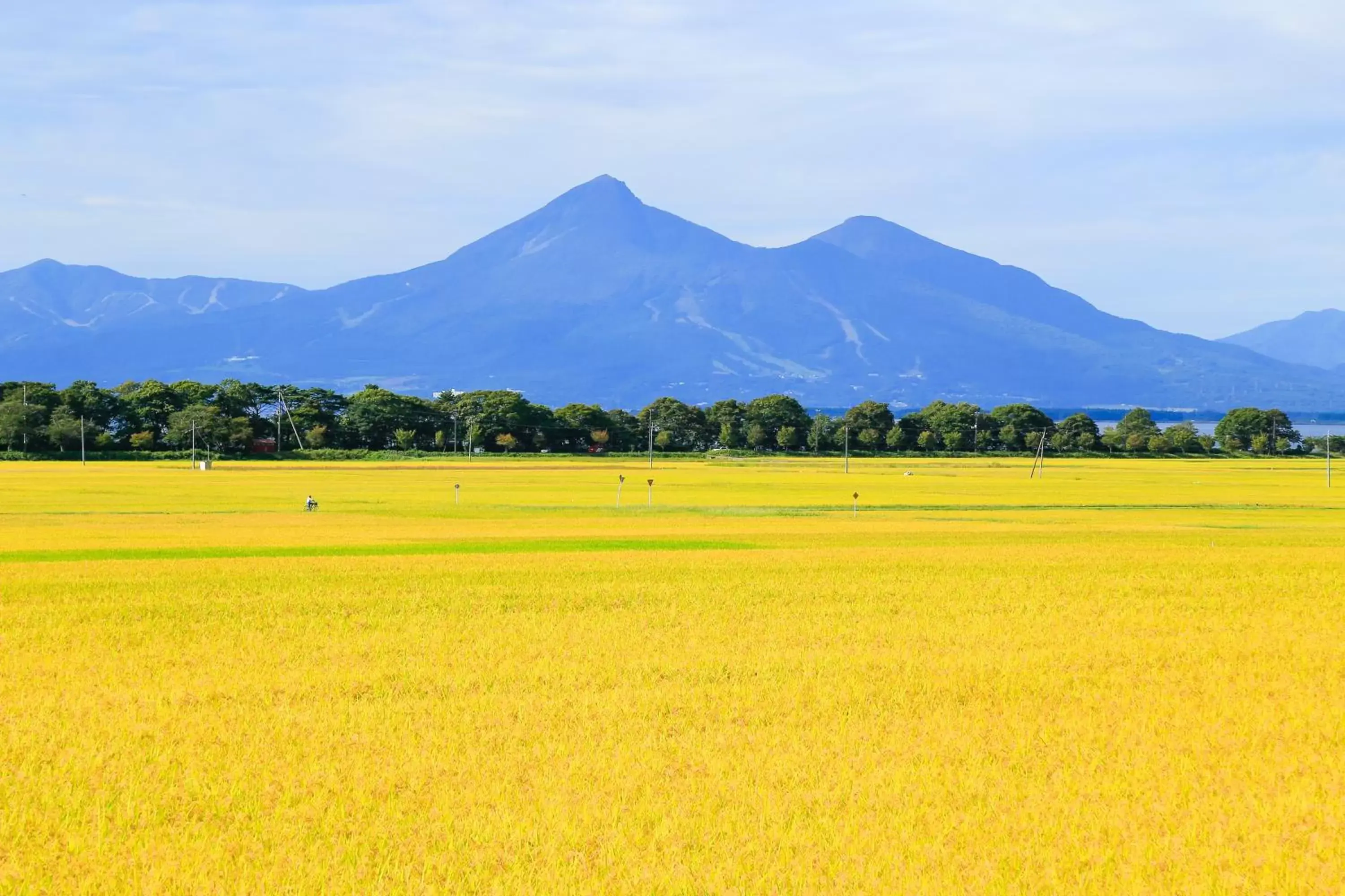 Nearby landmark in APA Hotel Fukushima Ekimae