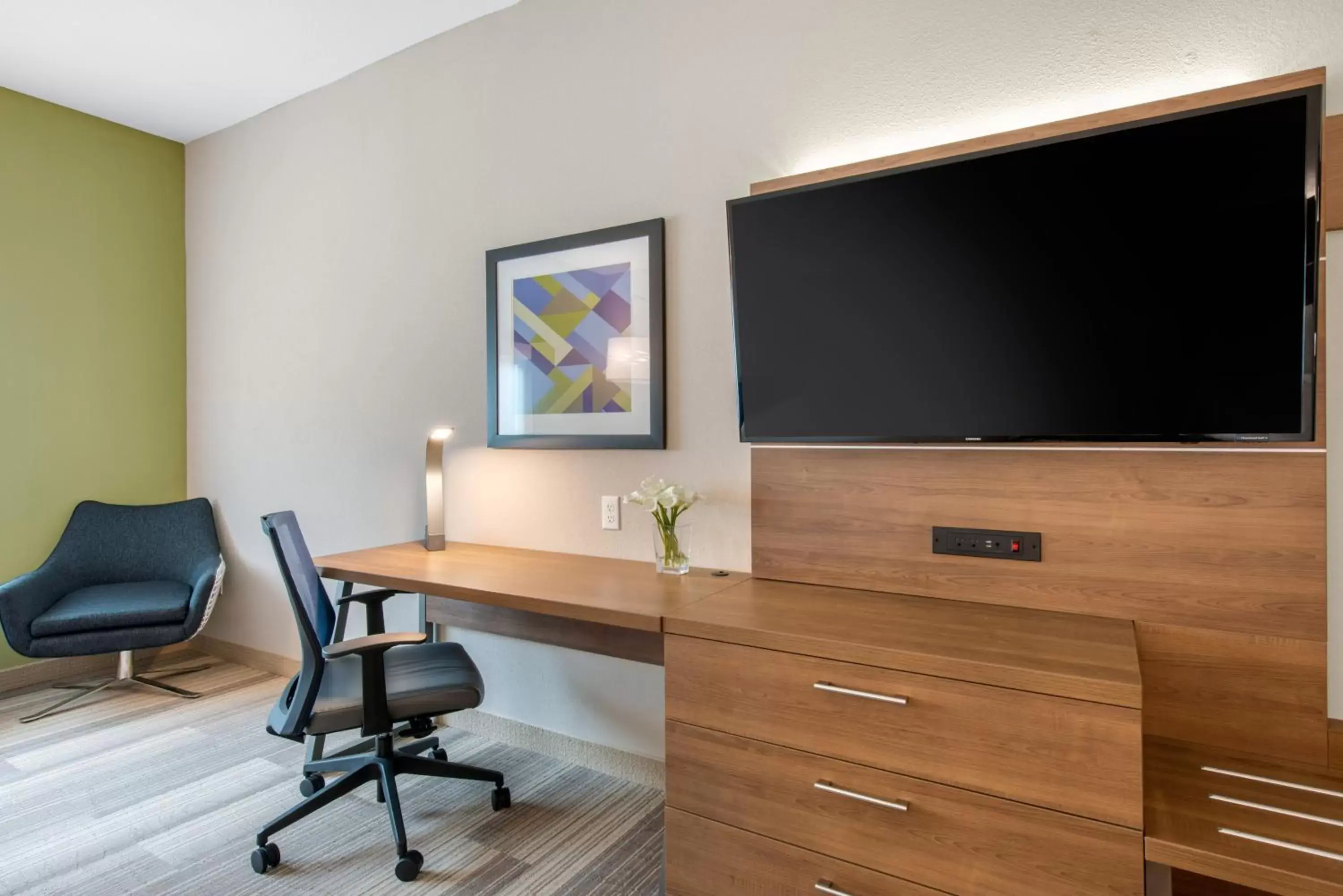 Photo of the whole room, TV/Entertainment Center in Holiday Inn Express & Suites - Ruskin, an IHG Hotel