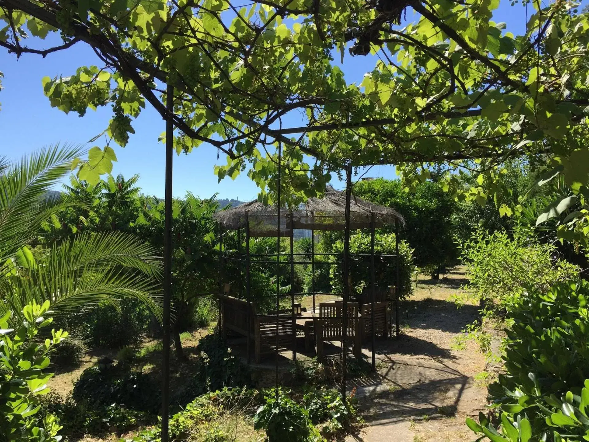 Natural landscape in Bed & Breakfast Chambres d'hôtes COTTAGE BELLEVUE