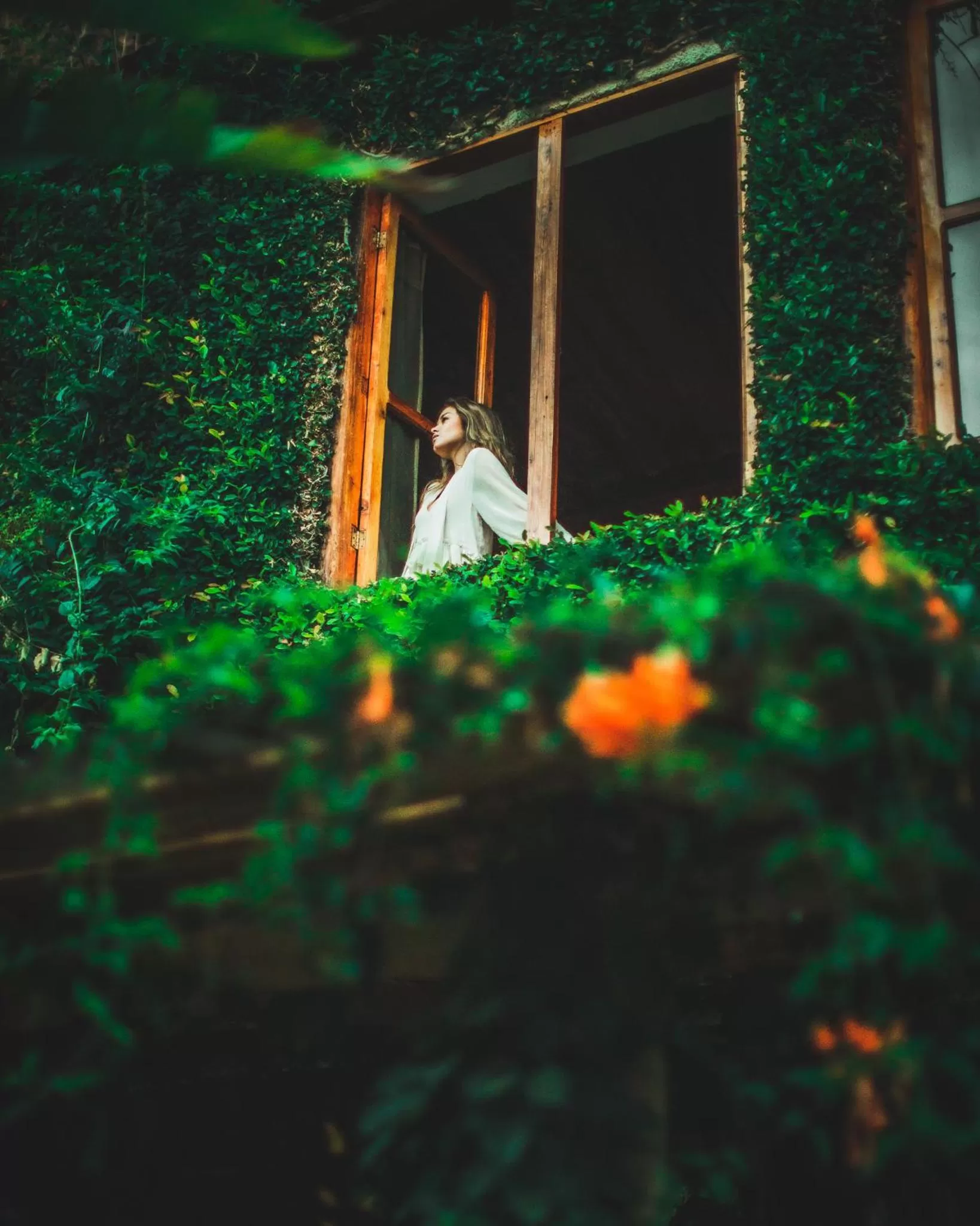 View (from property/room) in Lush Atitlán