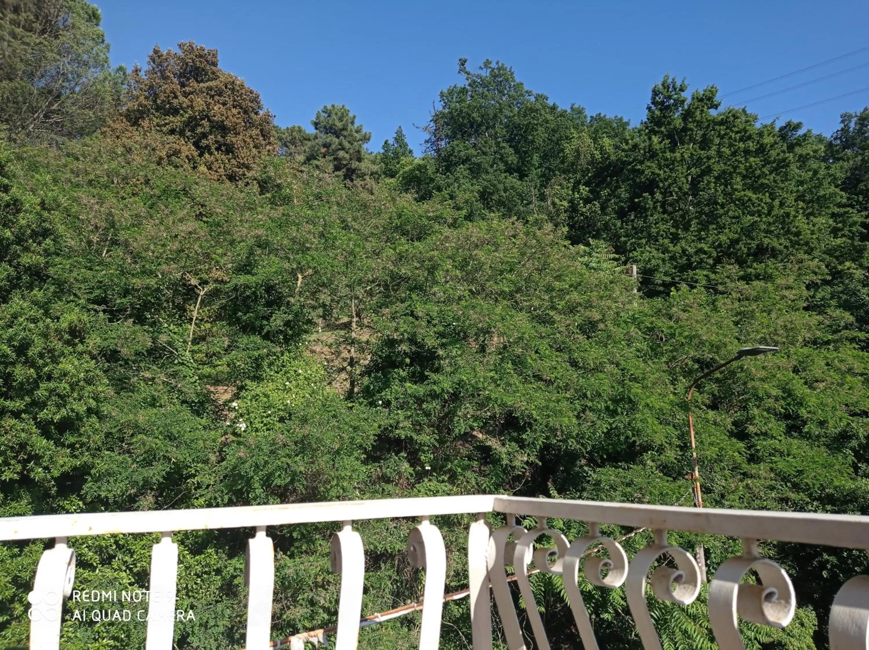 Garden view in Hotel Monti