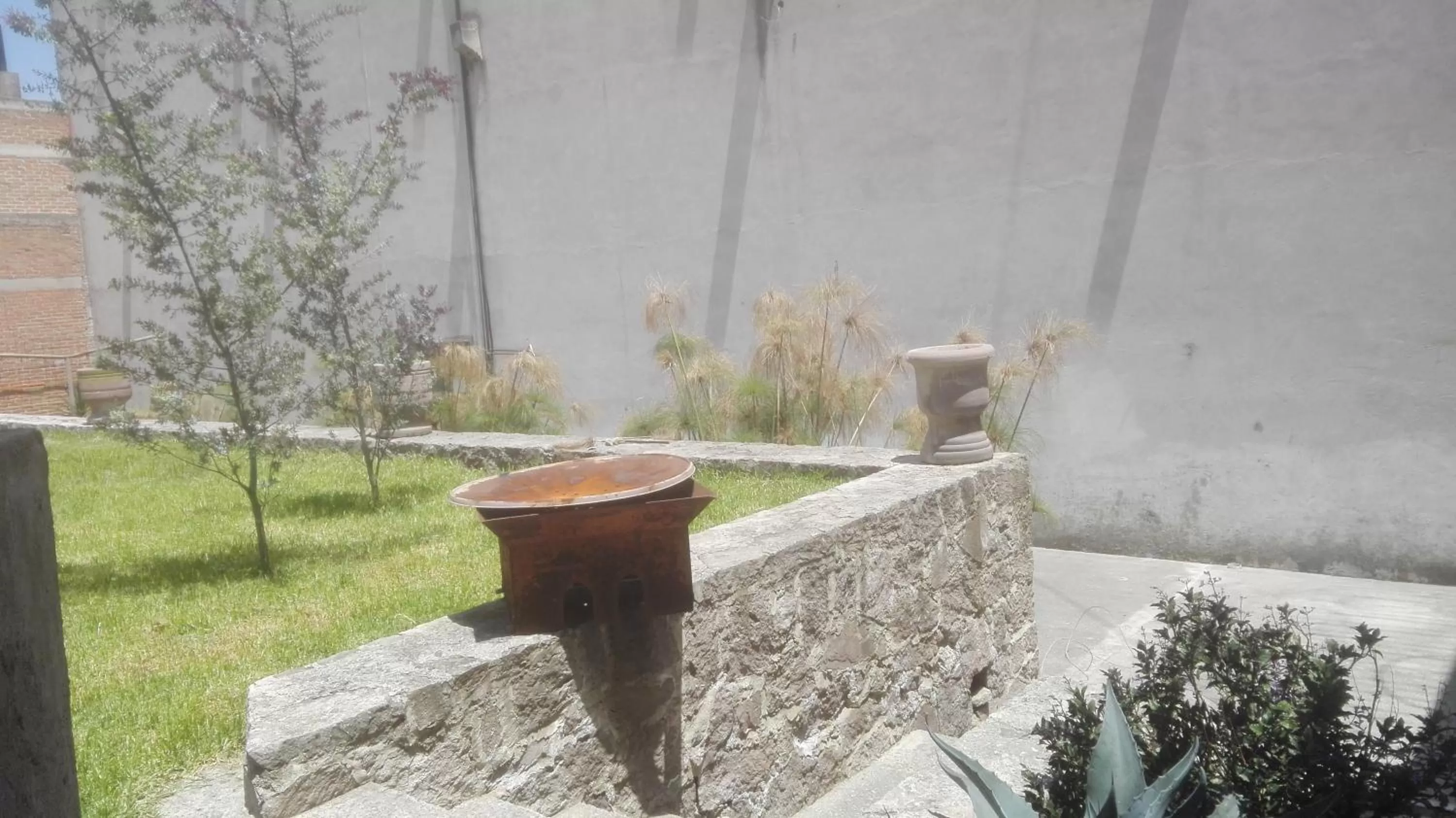 Garden in Casa Villaliz