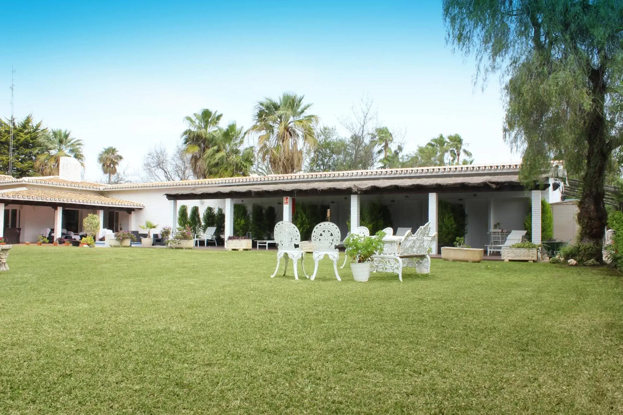 Garden, Banquet Facilities in Hotel Malaga Picasso