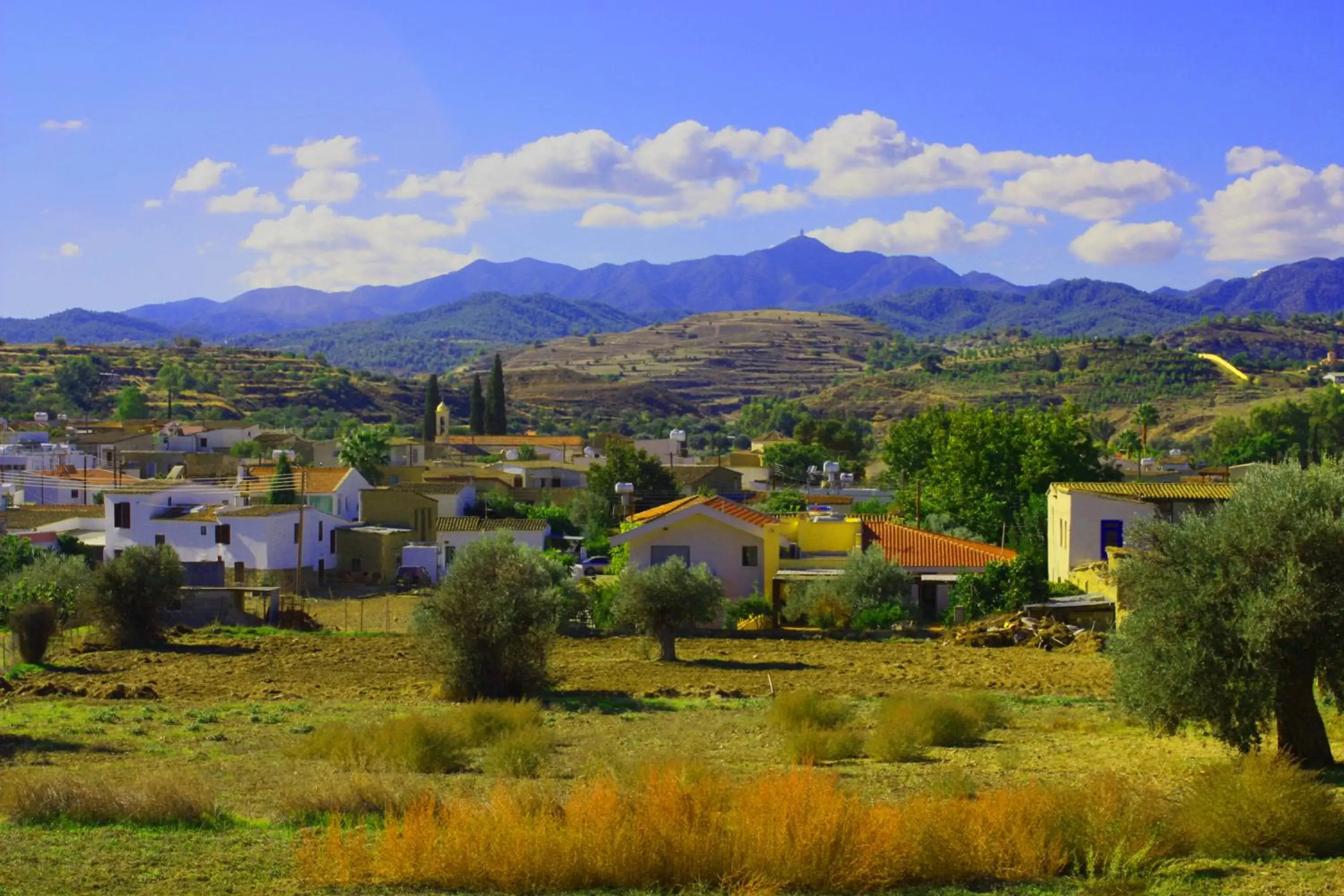 Area and facilities in Aperanti Agrotourism