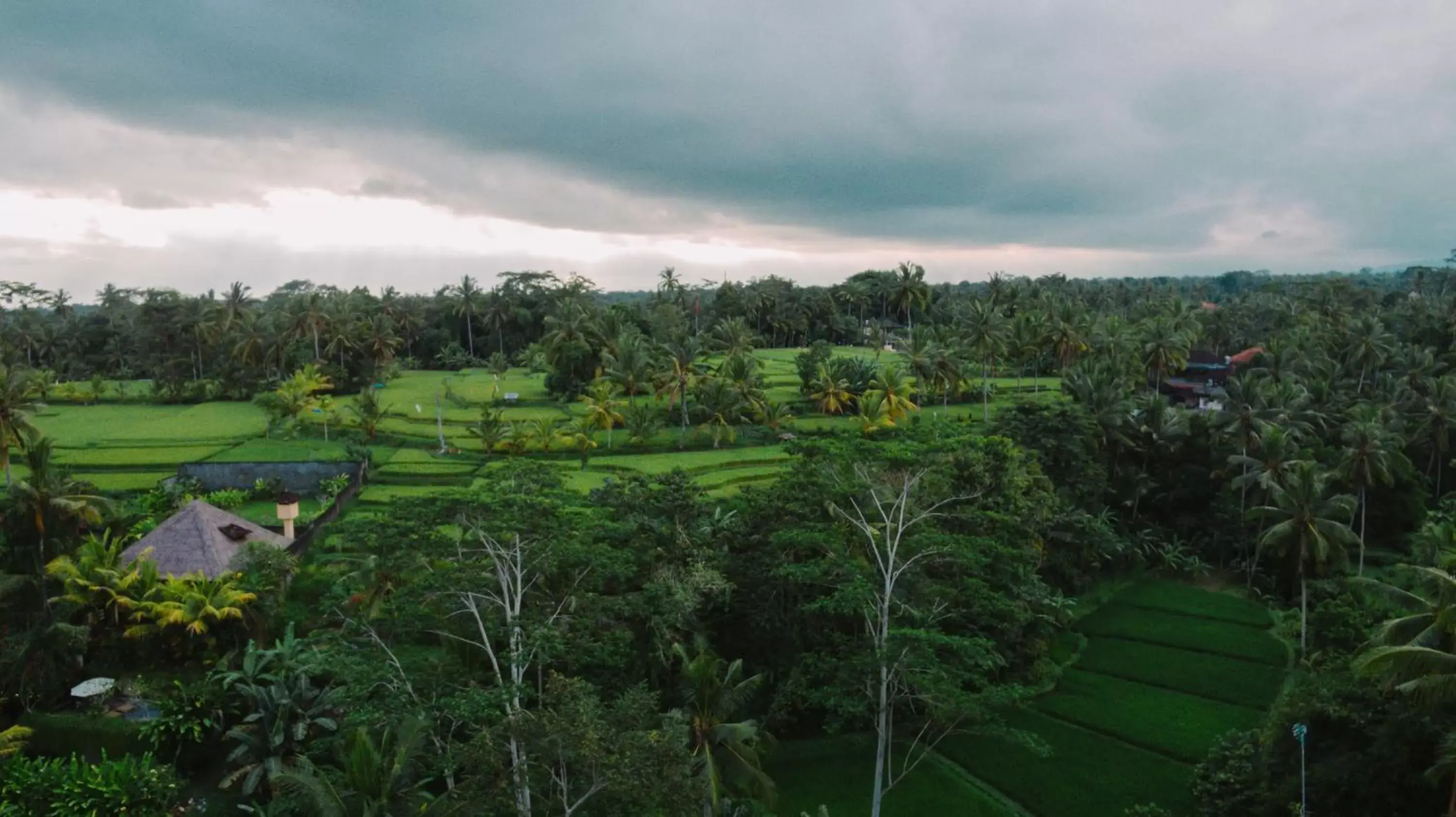 View (from property/room), Bird's-eye View in River Sakti Ubud by Prasi