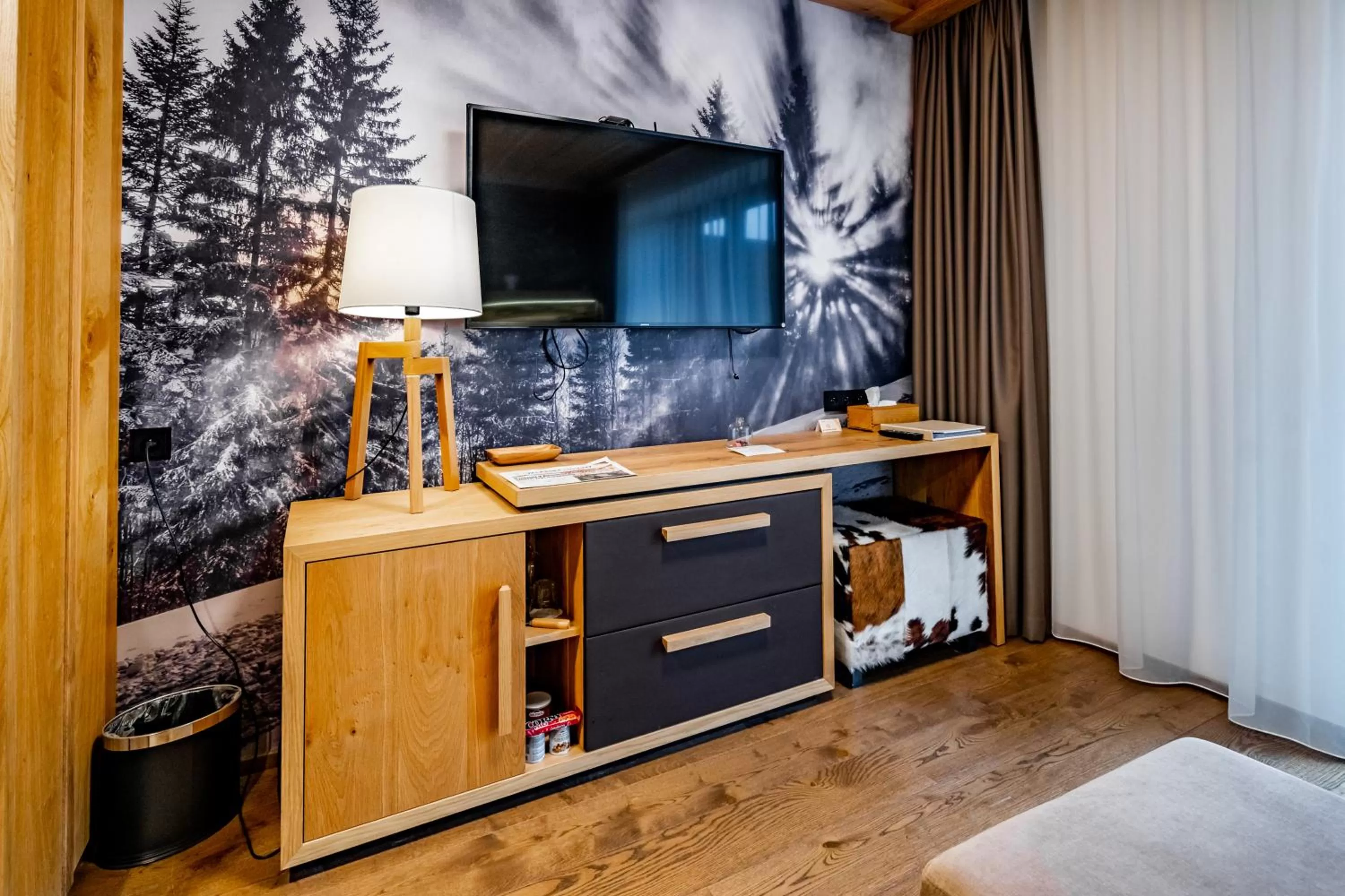 TV and multimedia in Grandhotel Tatra