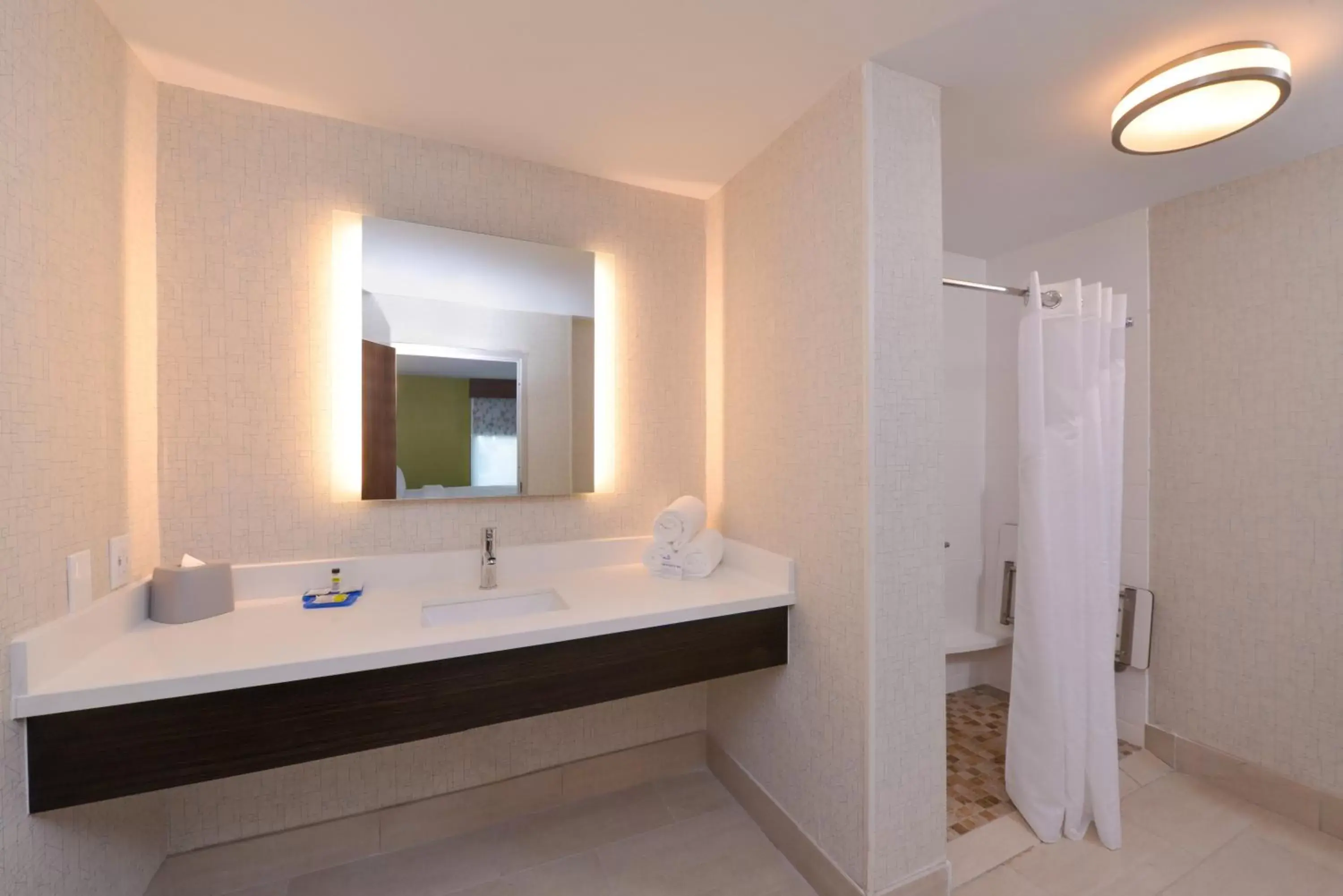 Bathroom in Holiday Inn Express & Suites - Shreveport - Downtown, an IHG Hotel