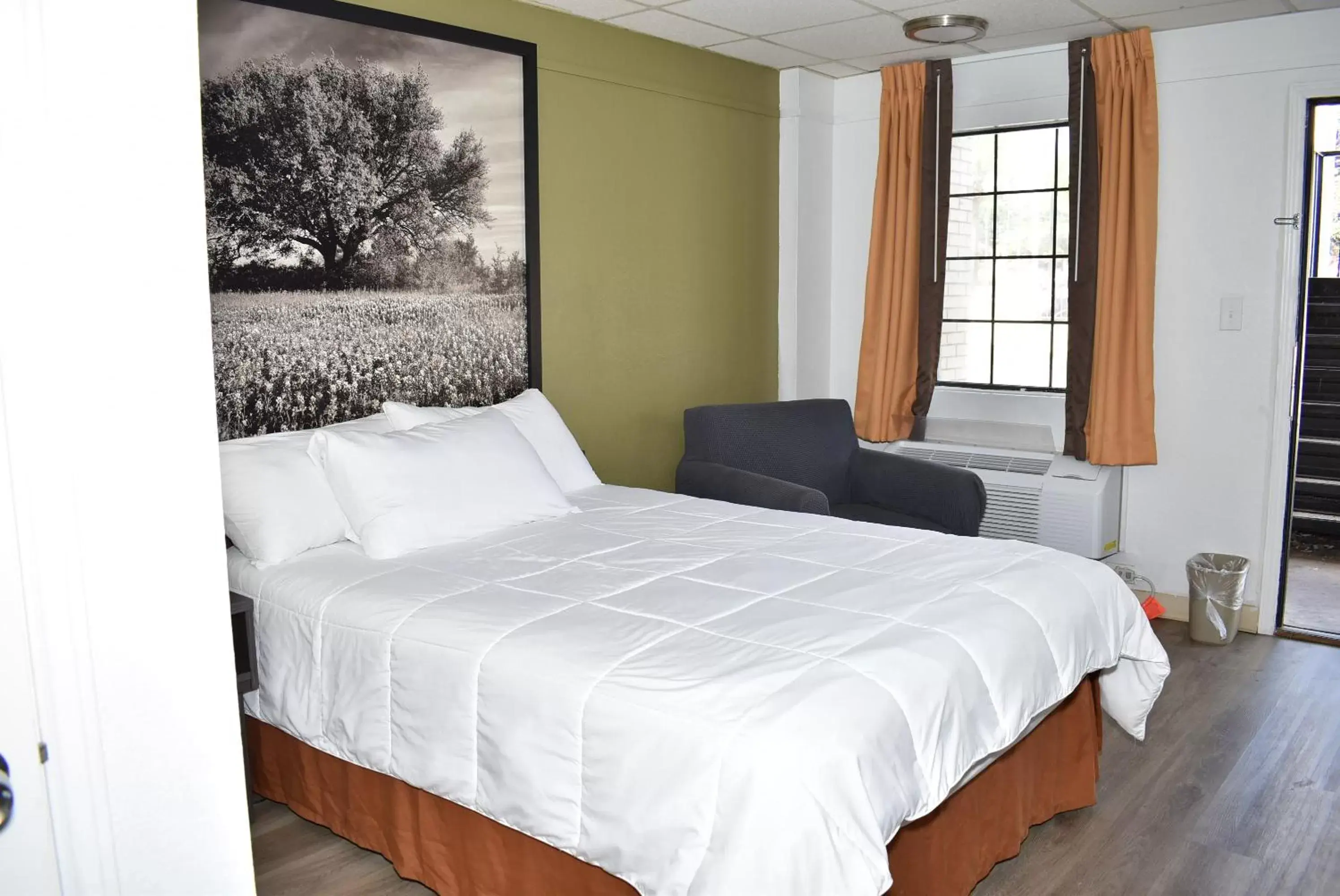 Bed in Super 8 by Wyndham Fredericksburg