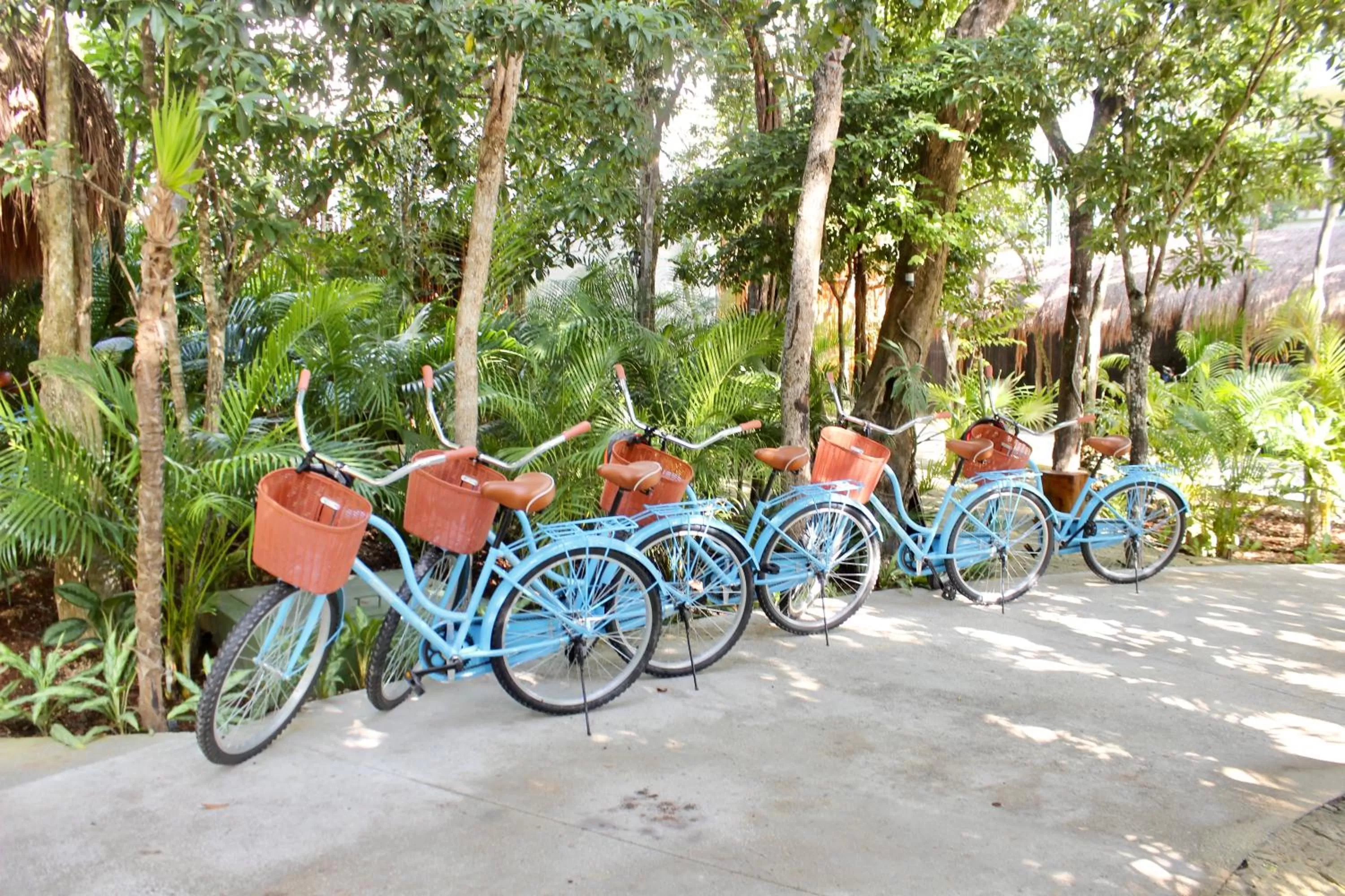 Cycling in Kimpton Aluna Resort Tulum by IHG