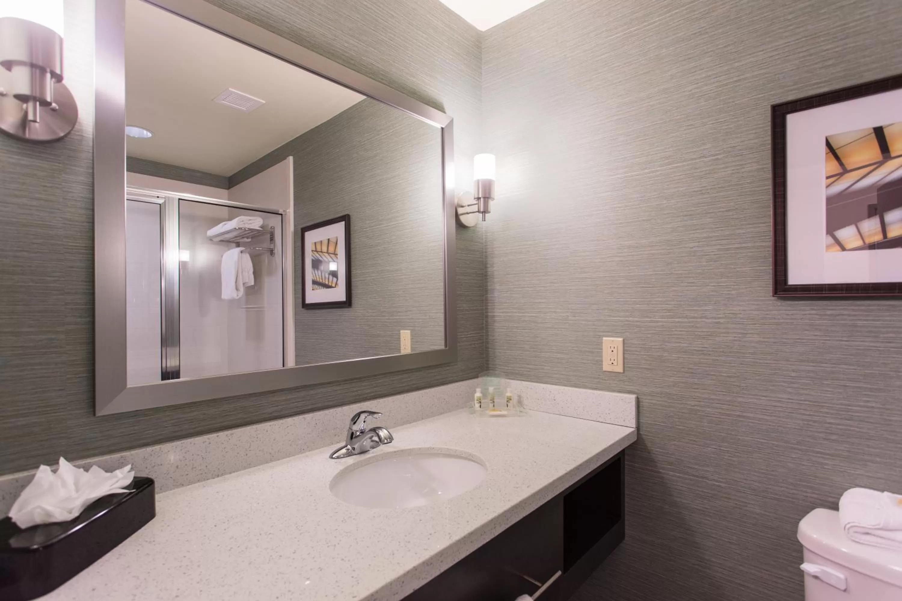 Bathroom in Holiday Inn Texarkana Arkansas Convention Center by IHG