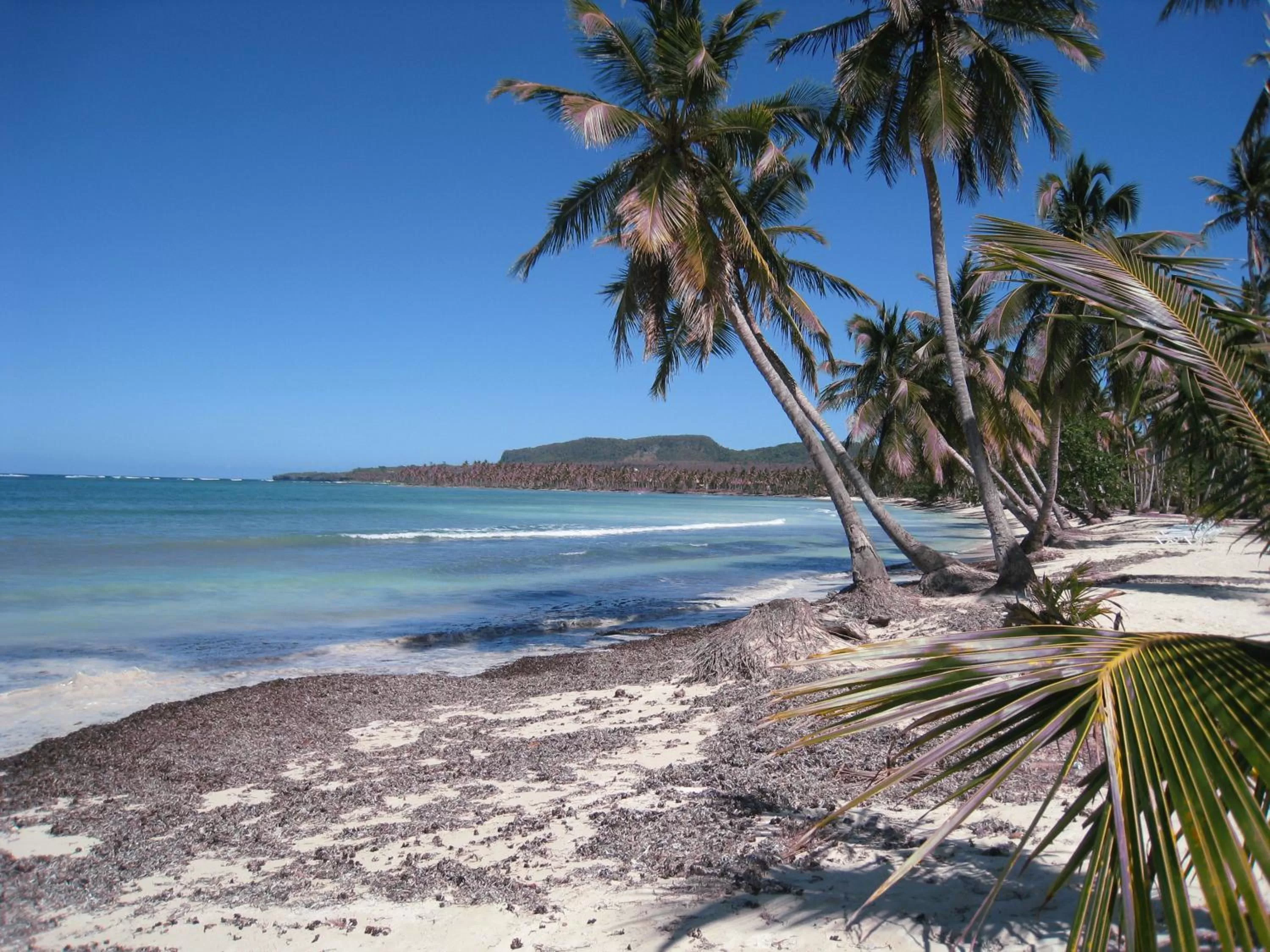 Area and facilities in Hotel Voramar