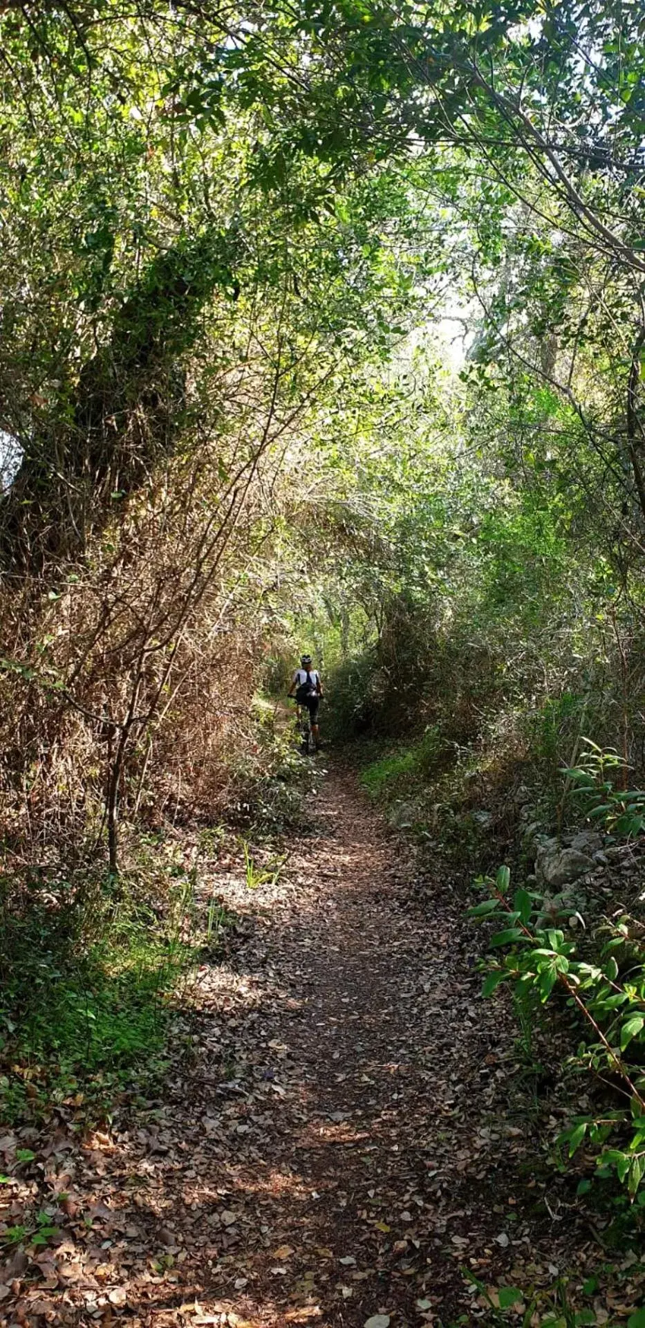 Natural landscape in Quinta Pedra Dos Bicos