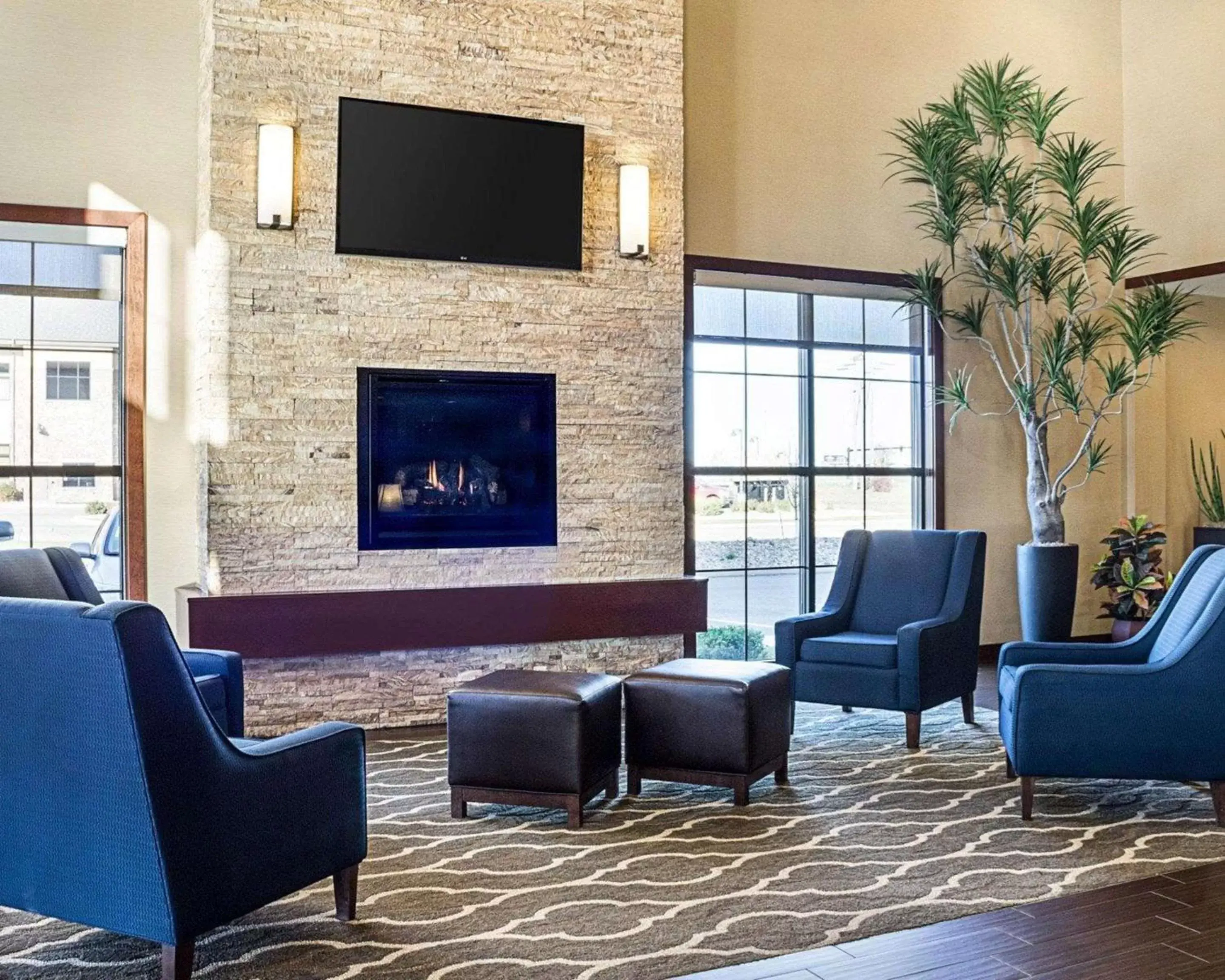 Lobby or reception, Seating Area in Comfort Suites Medical Center