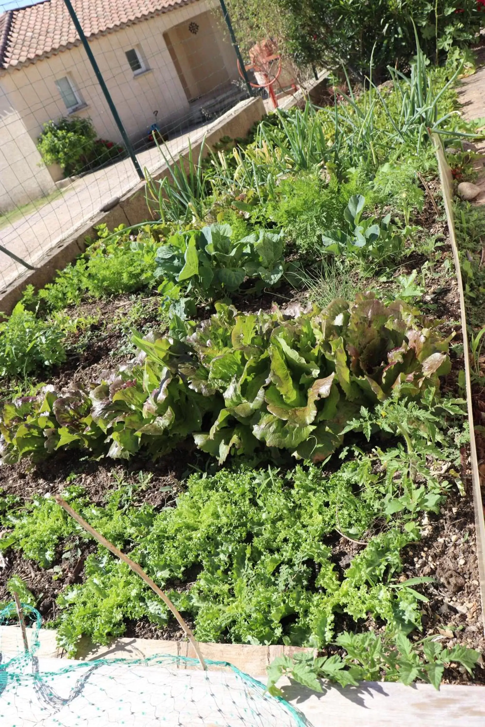 Garden in chambres d'hôtes du capimont