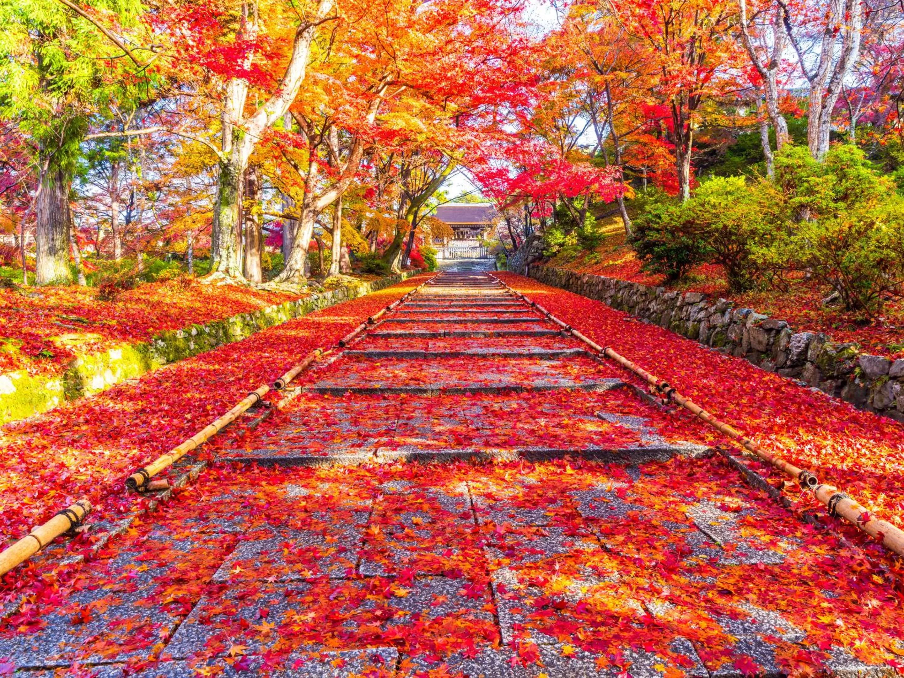 Nearby landmark in eph KYOTO