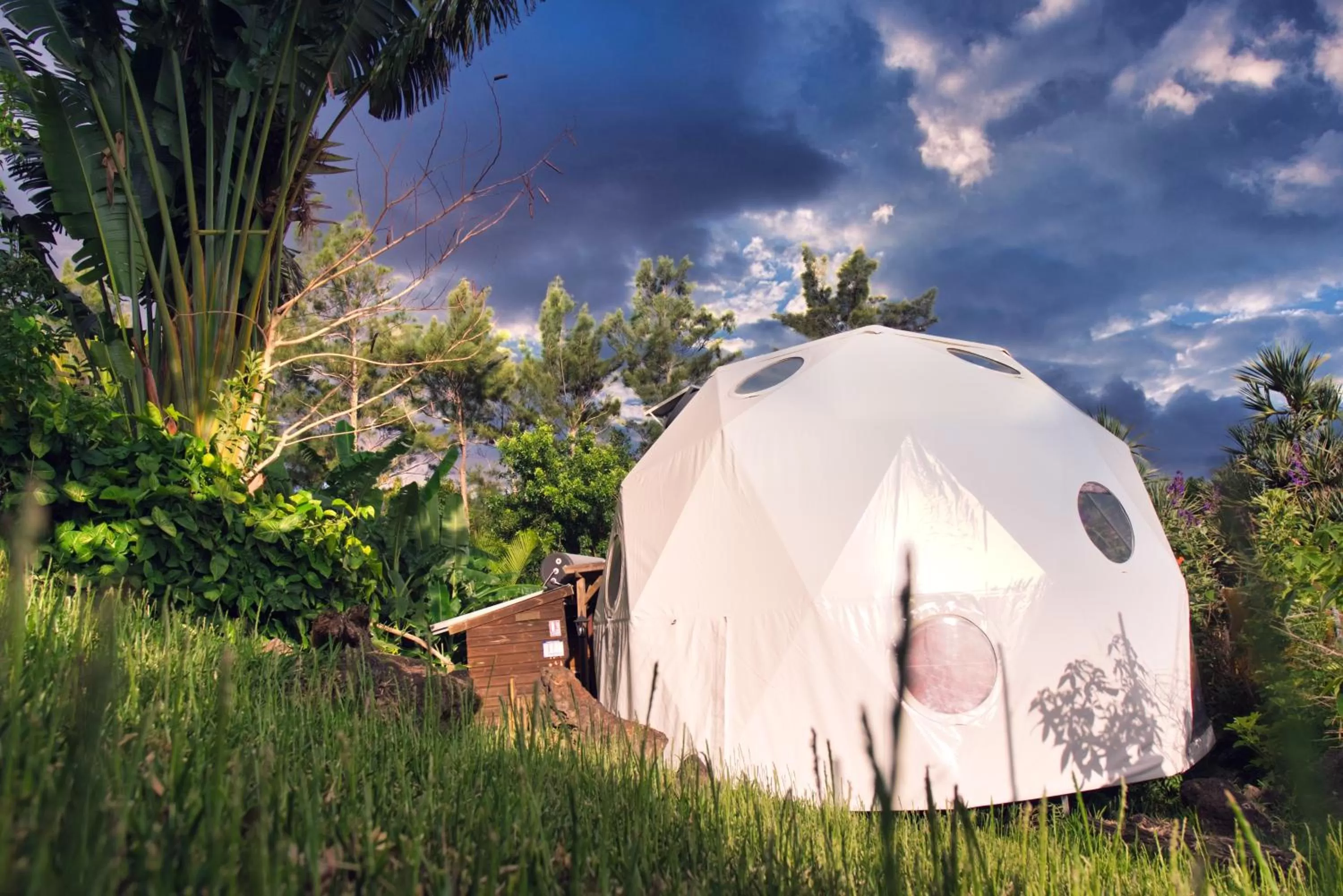 View (from property/room) in Bubble Dome Village