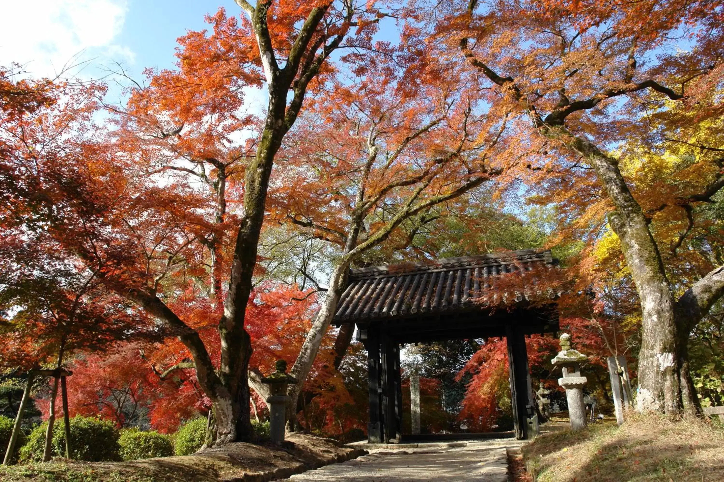 Nearby landmark, Property Building in Hotel Torifito Hakata Gion