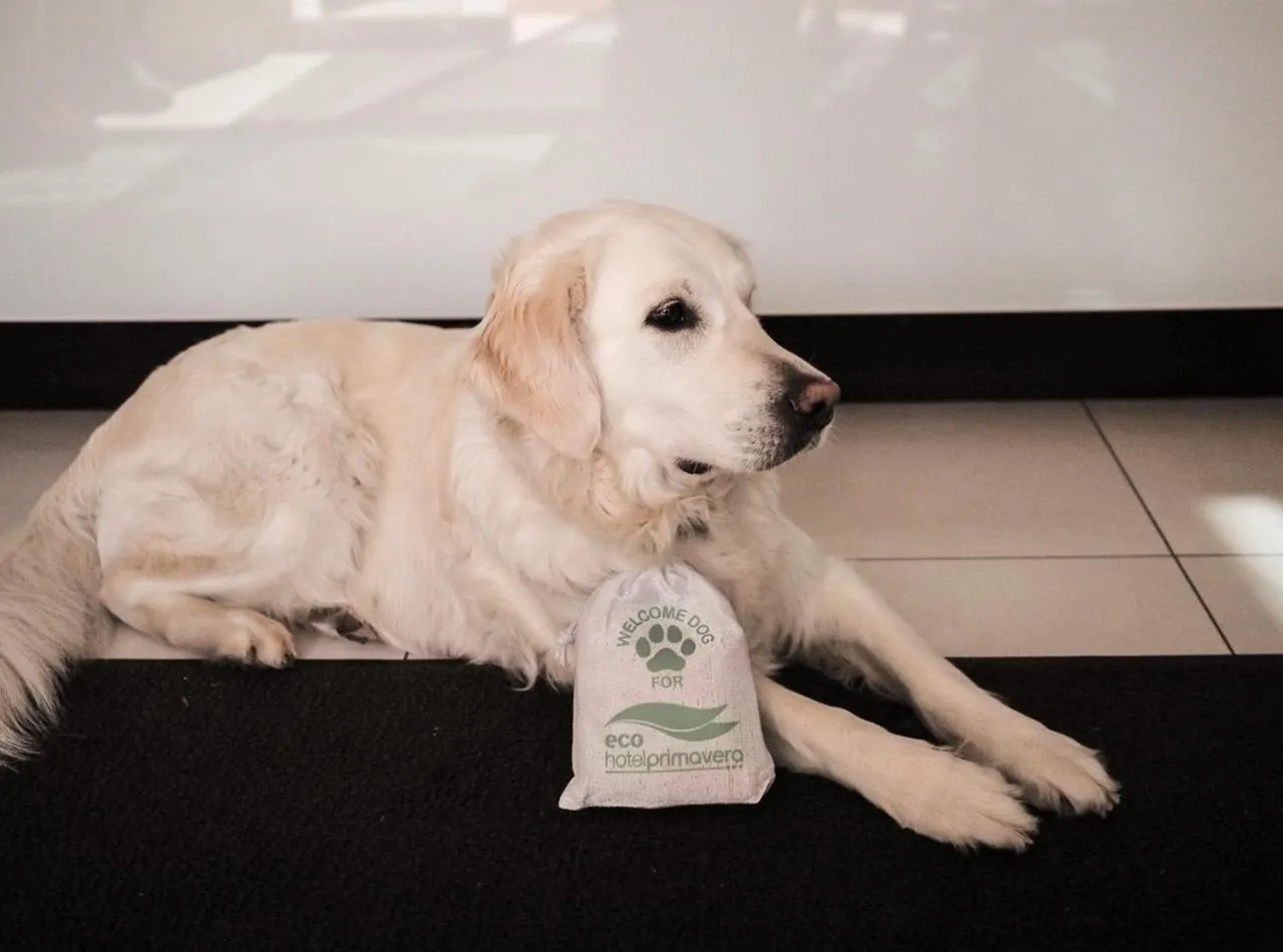 Pets in Ecohotel Primavera