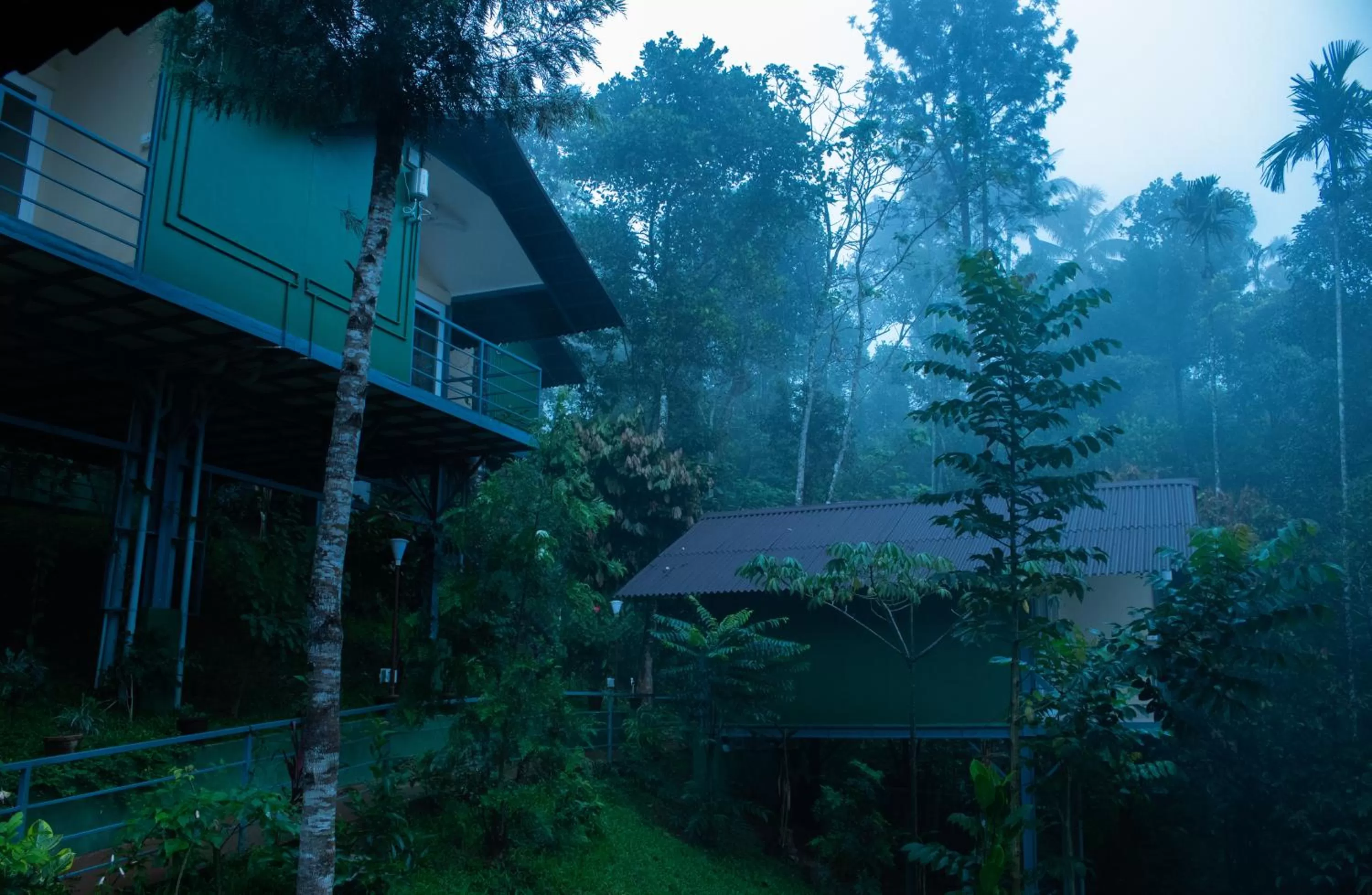 Garden in Edens Munnar