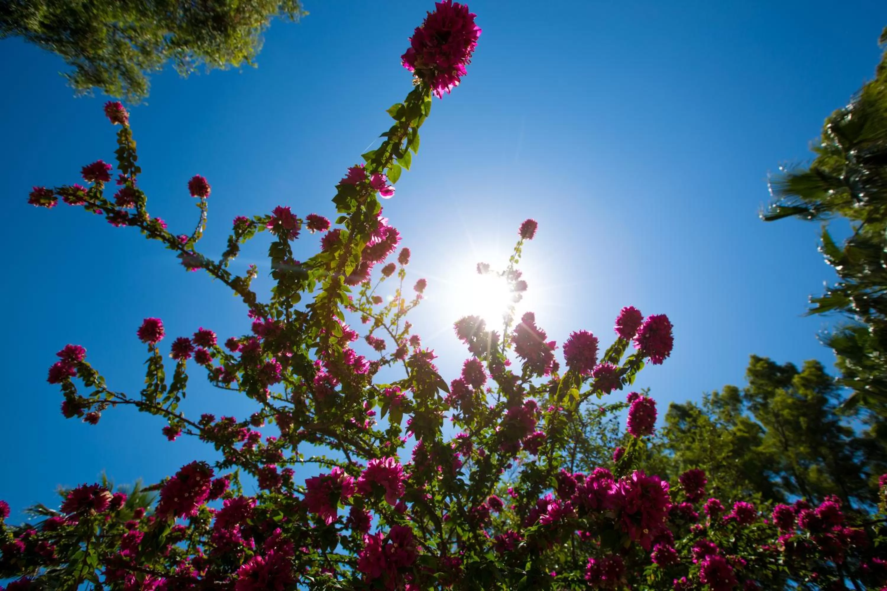 Other in Le Dune Sicily Hotel