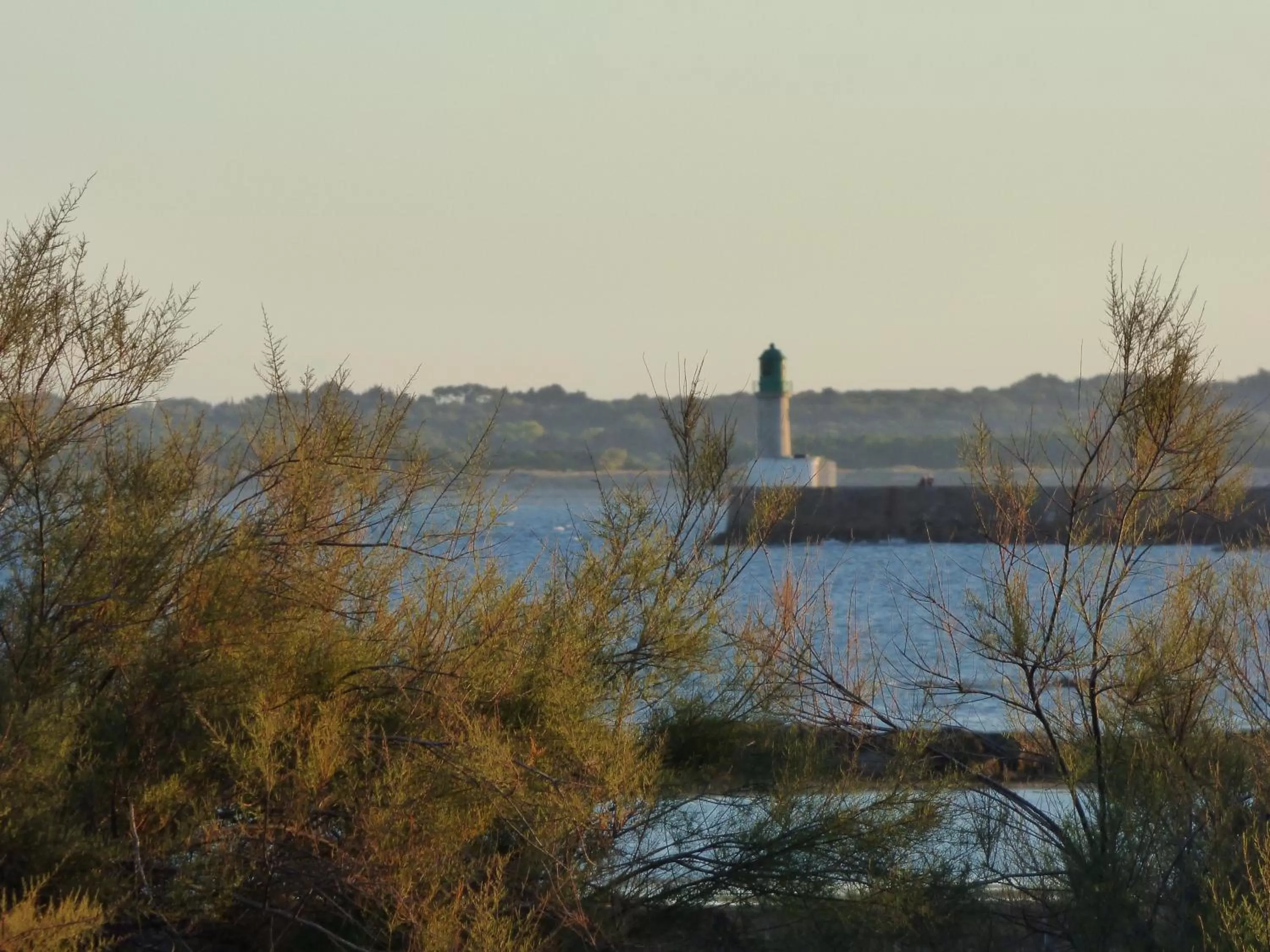 Natural landscape in Hotel Castel Moor