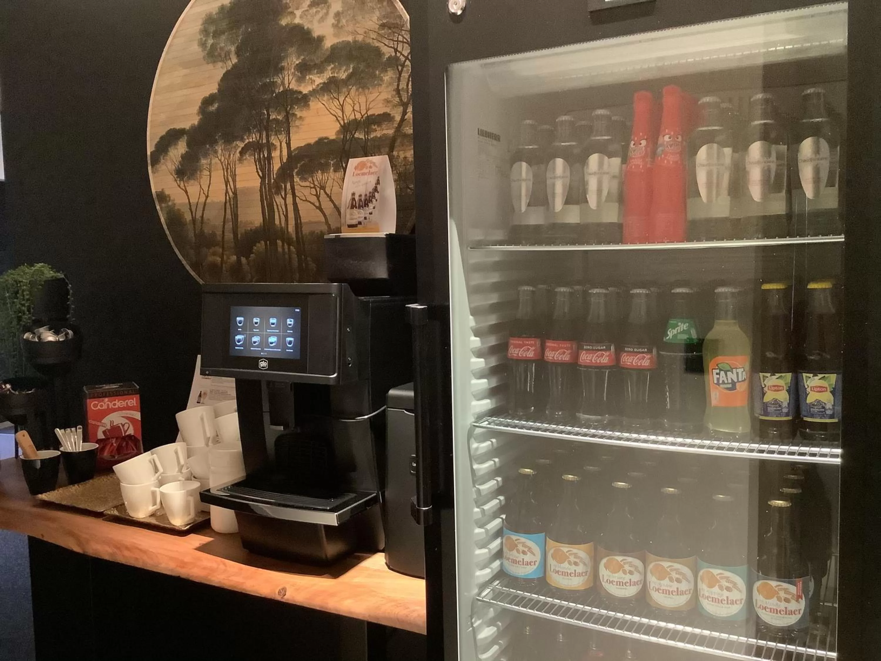 Coffee/tea facilities in 't Wilgenhuys