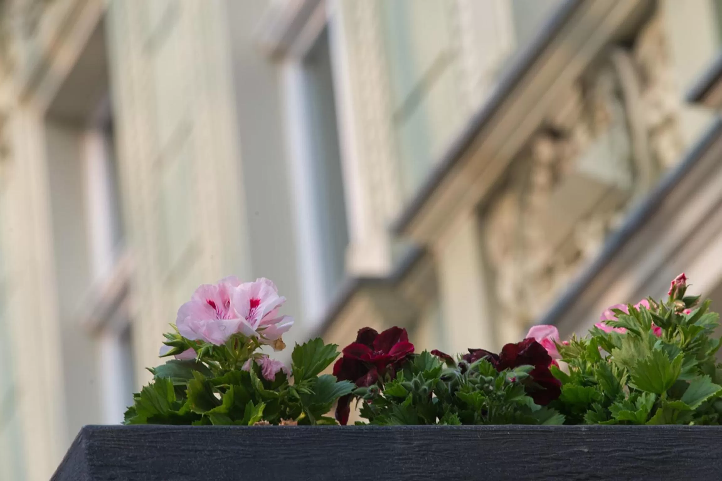 Facade/entrance in SORAT Hotel Cottbus