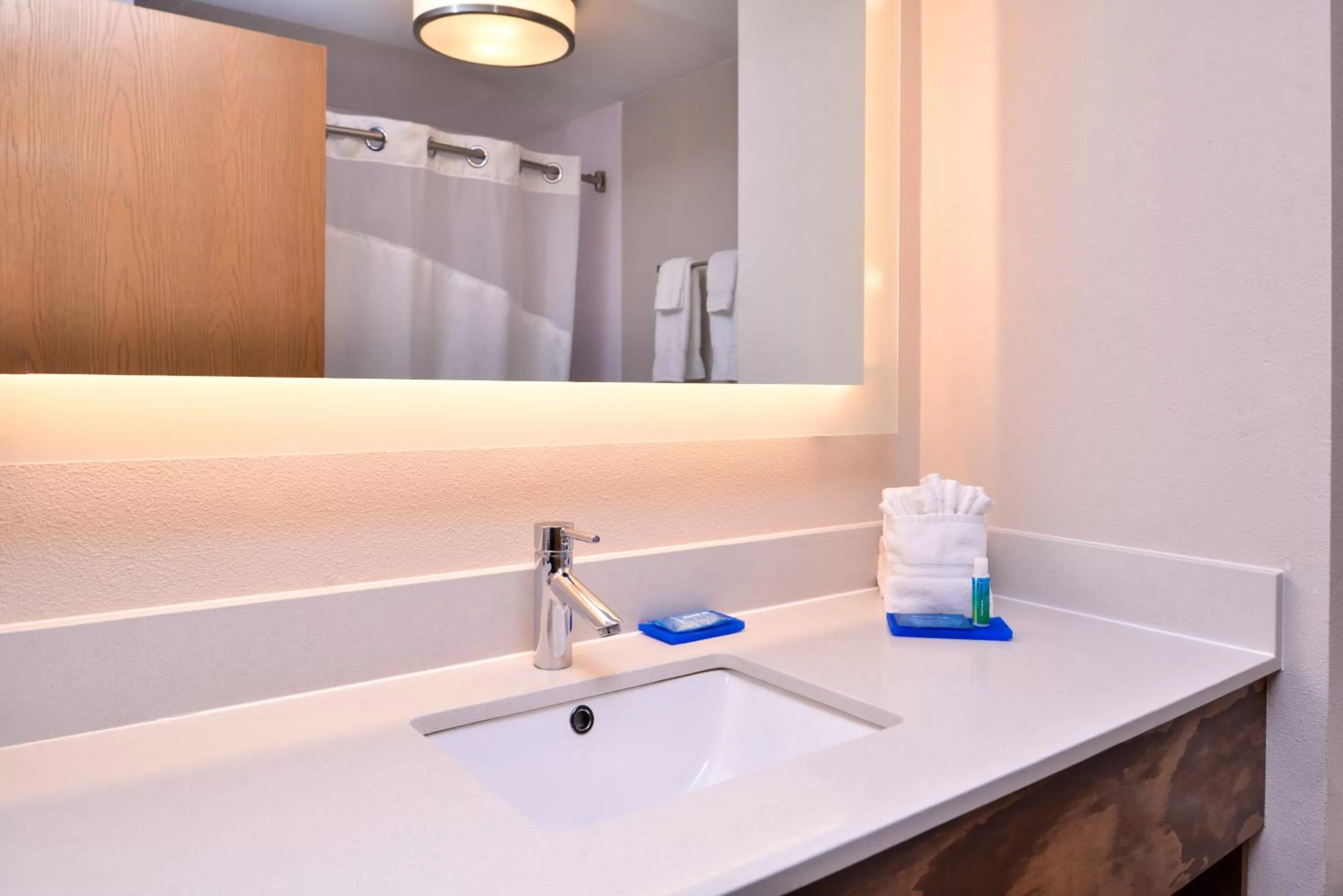 Bathroom in Holiday Inn Express Hotel & Suites Tampa-Anderson Road-Veterans Exp by IHG