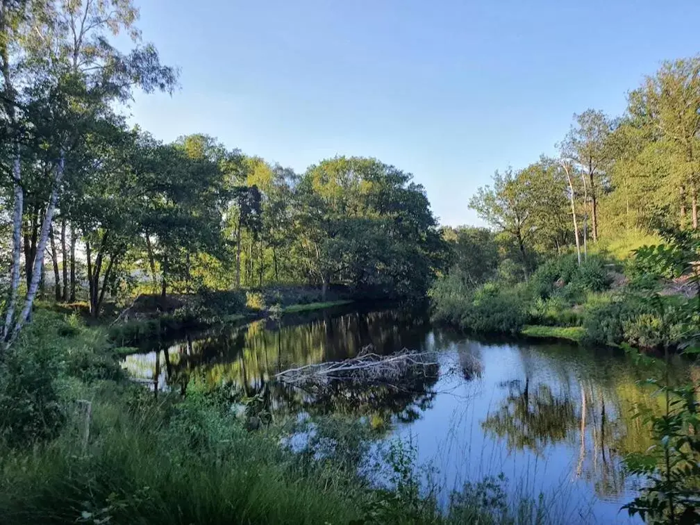 Natural landscape, Lake View in de Merel