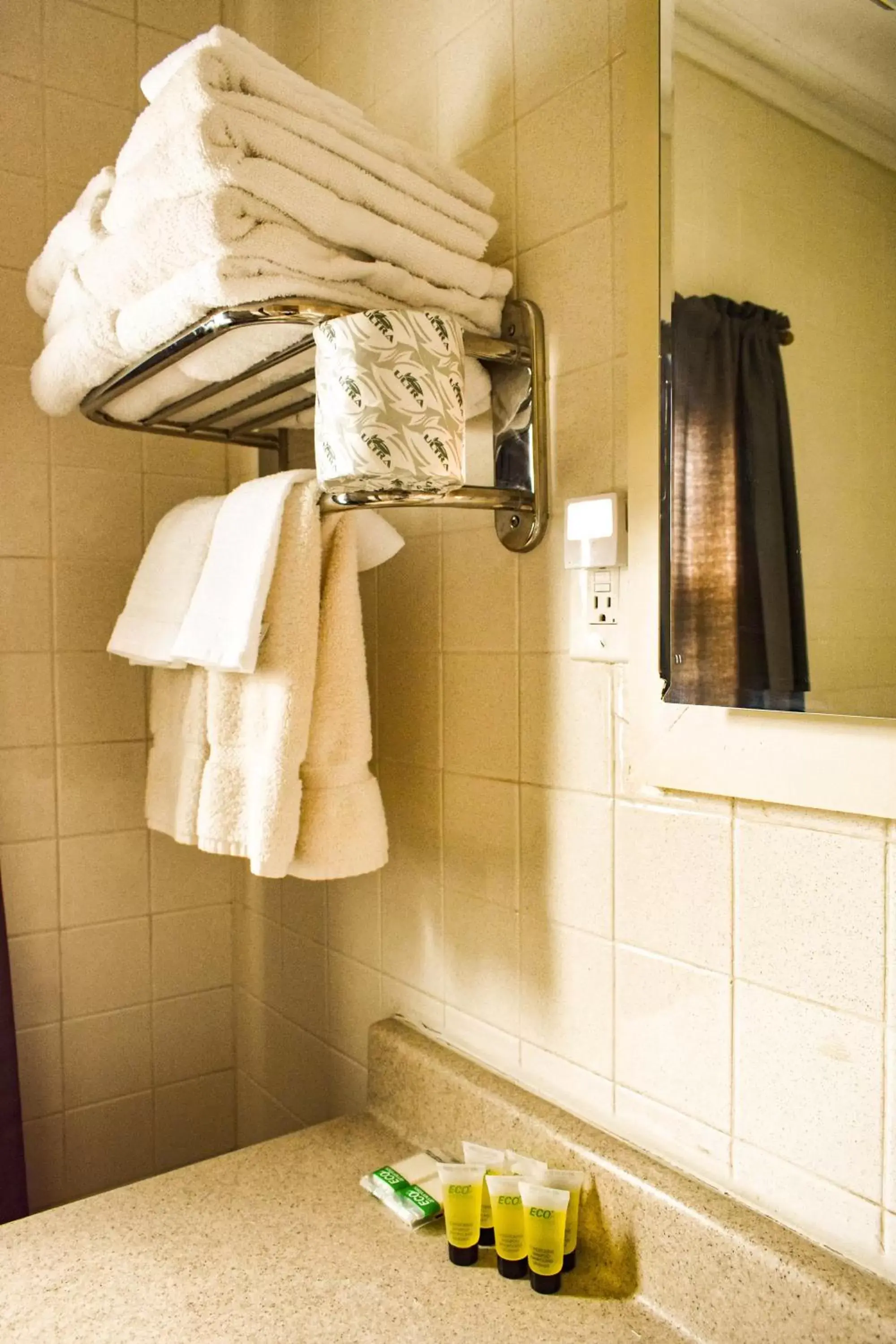 Bathroom in The Whitetail Inn and Suites- Lincoln