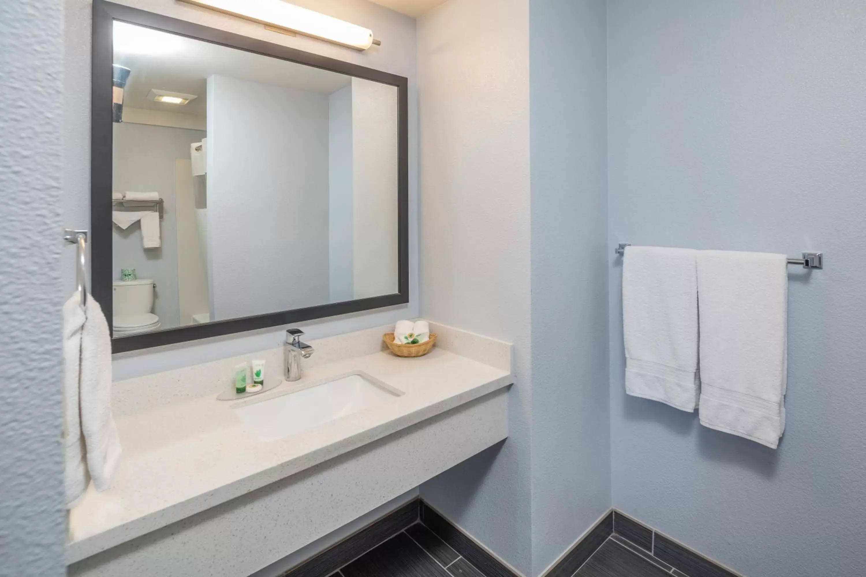 Bathroom in Silicon Valley Inn