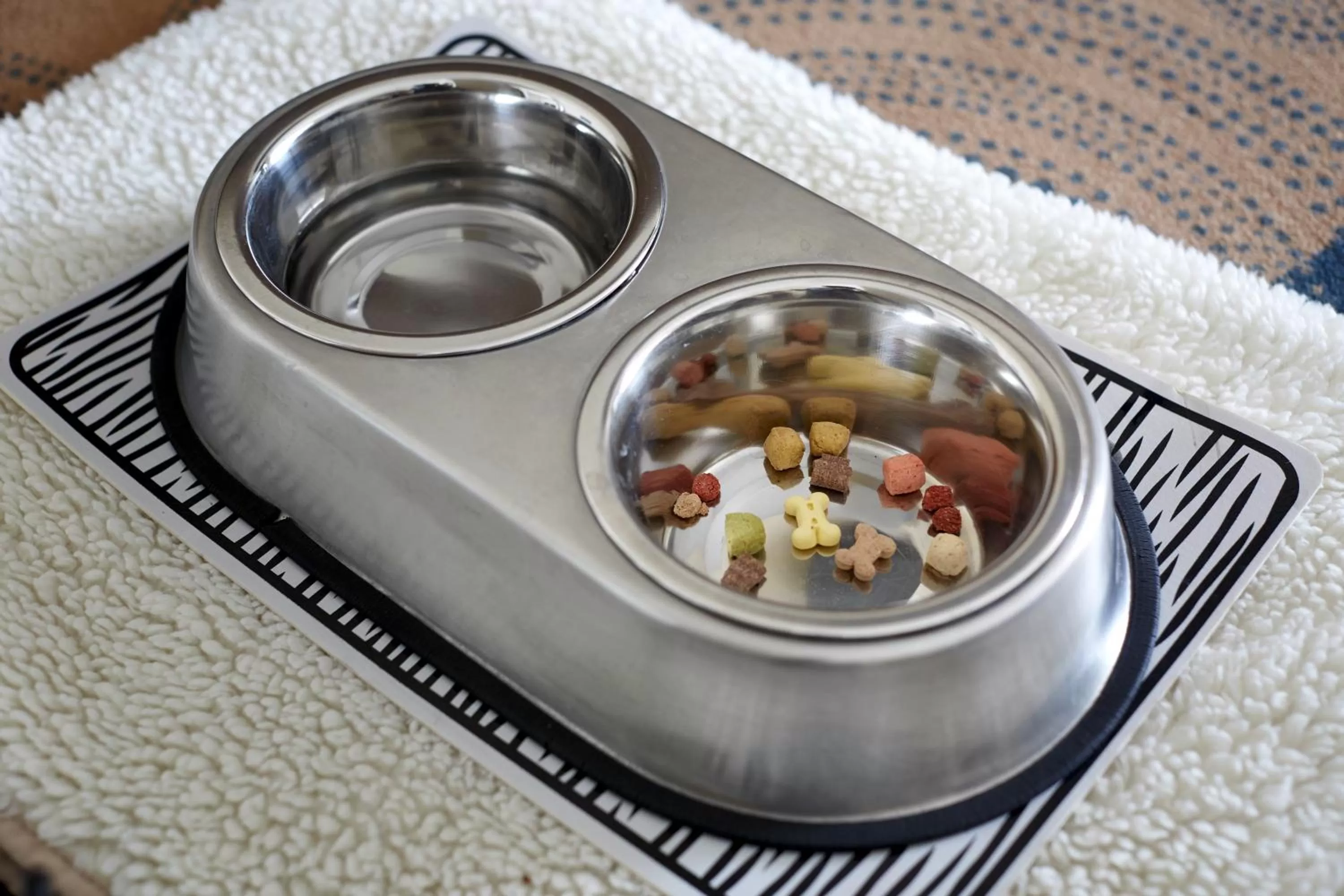 Pets in Campus Hotel Hertenstein