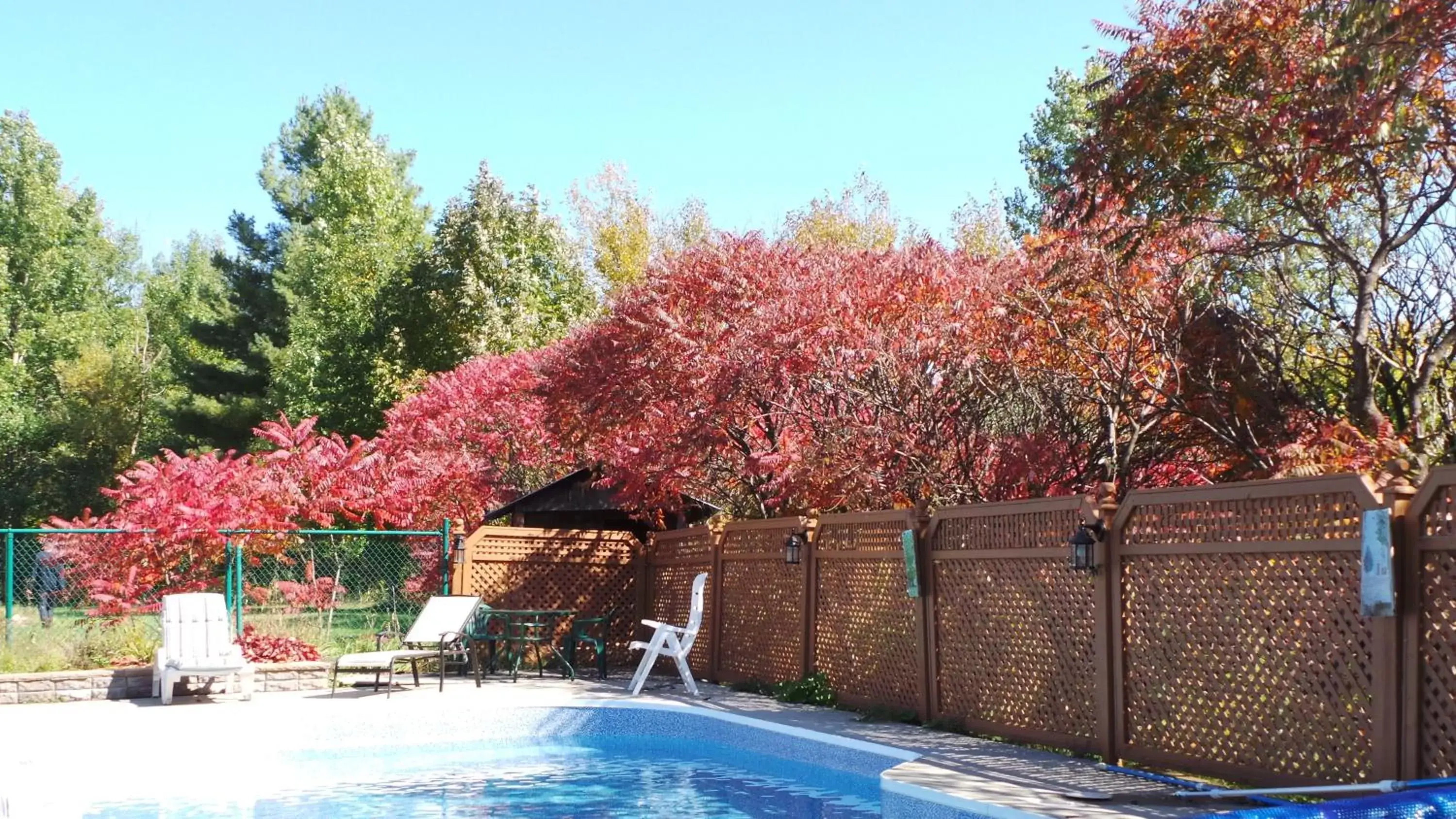 Swimming Pool in Auberge de la Tour et Spa