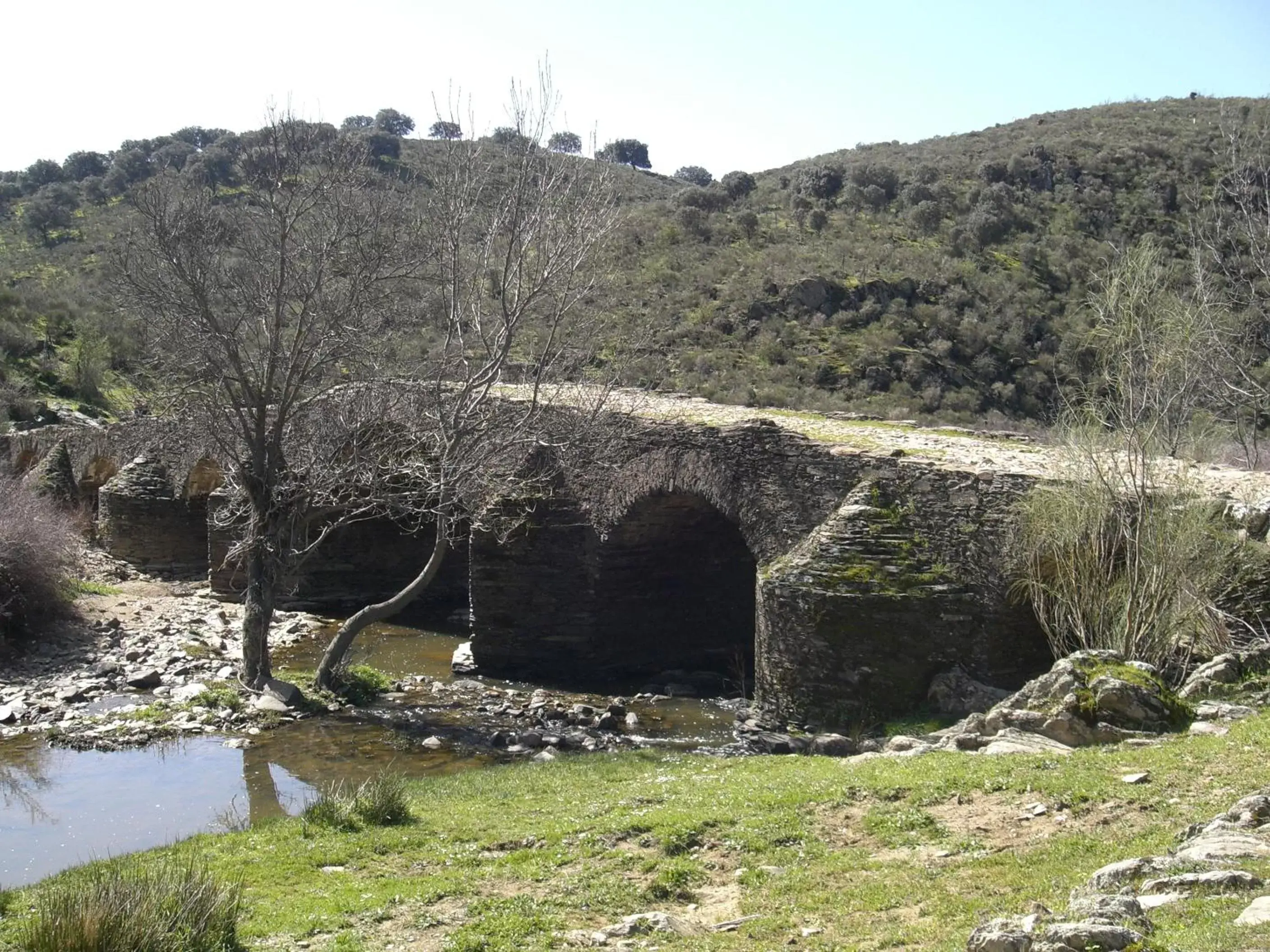 Nearby landmark in Hospederia Parque de Monfragüe