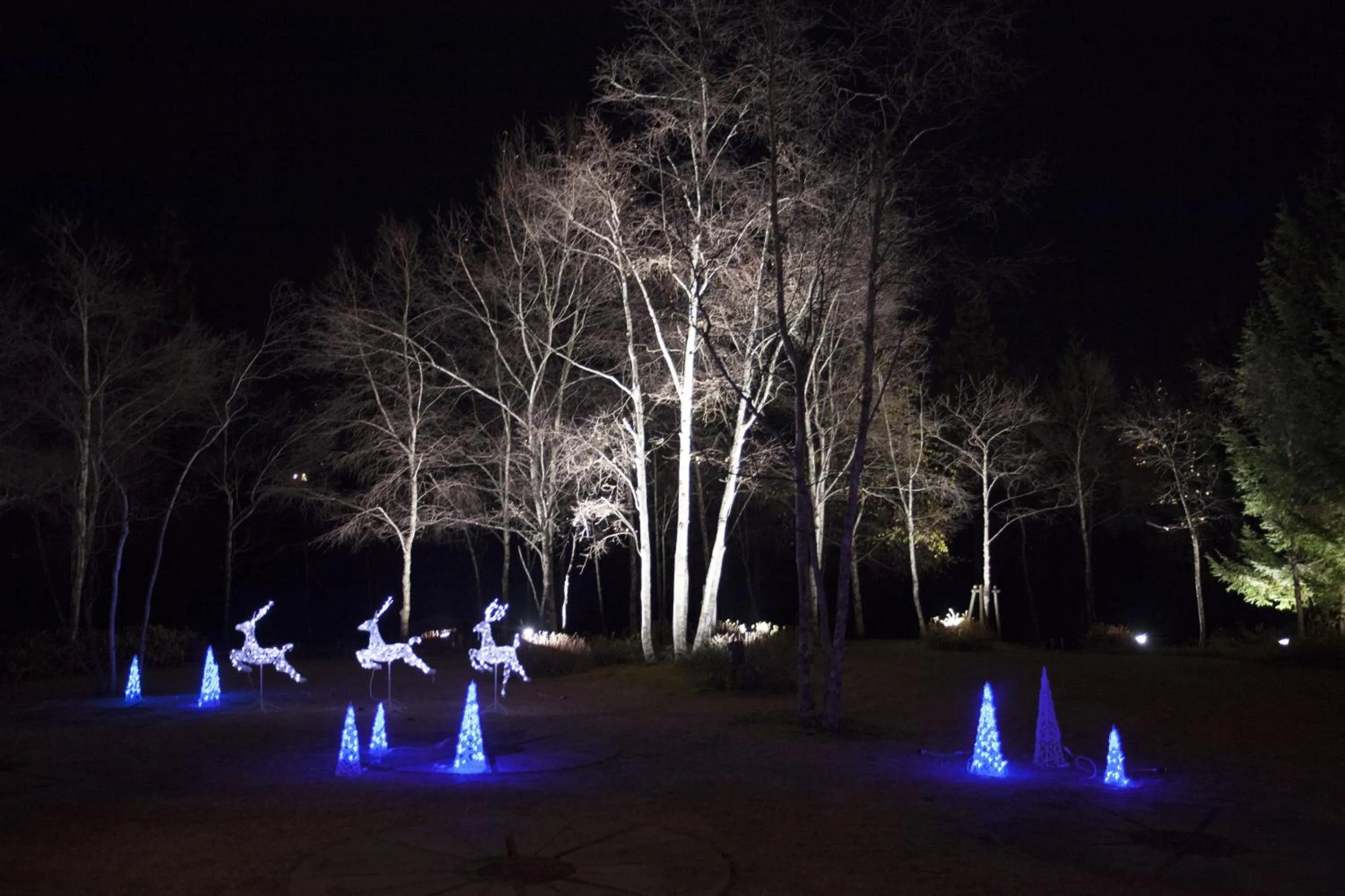 Winter in Sun Members Hirugano