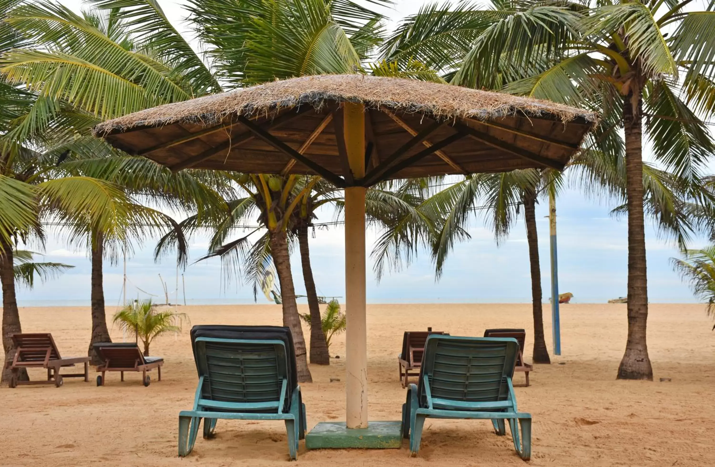 Patio, Beach in Goldi Sands Hotel