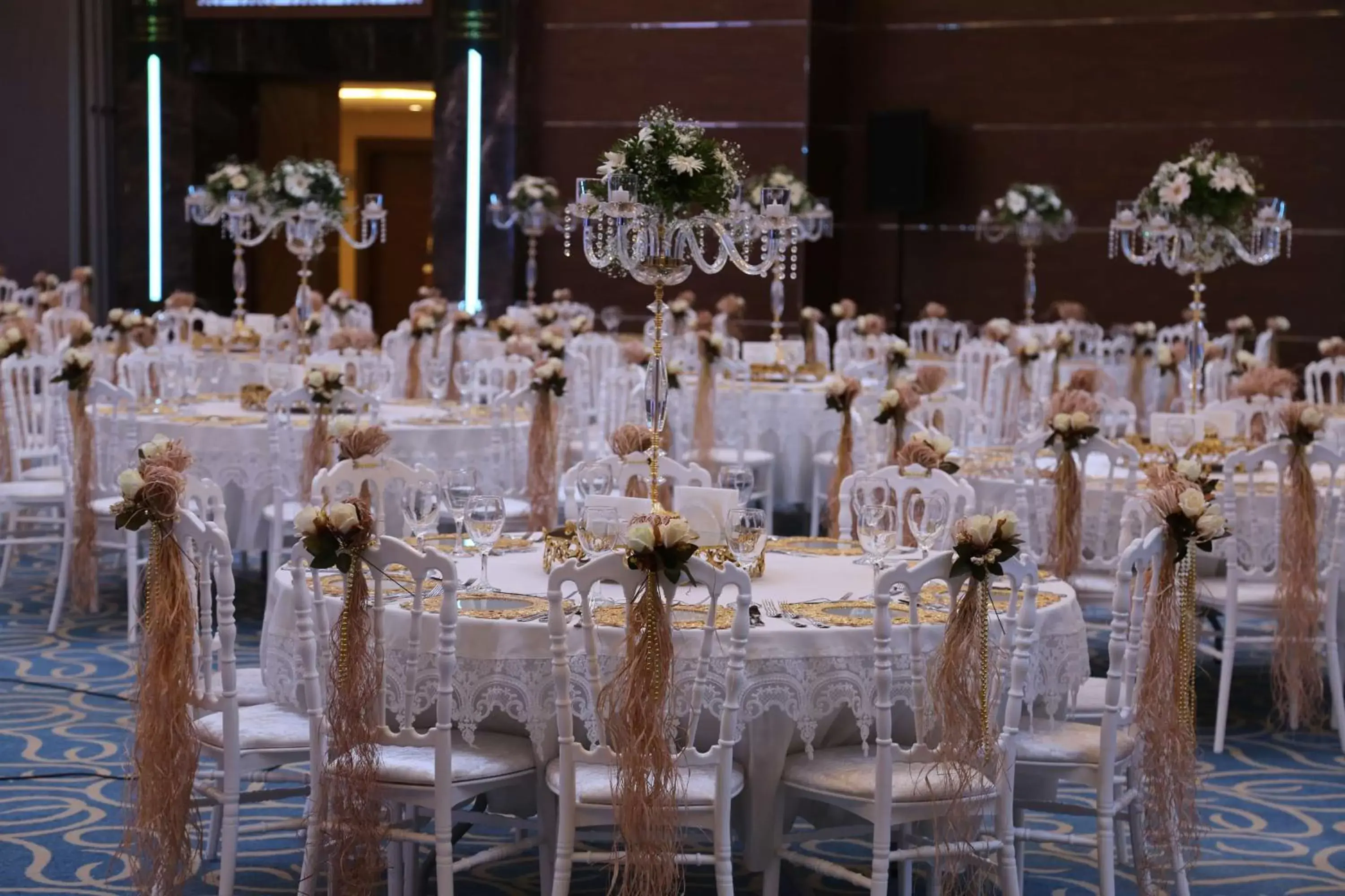 Other, Banquet Facilities in Radisson Blu Hotel, Diyarbakir